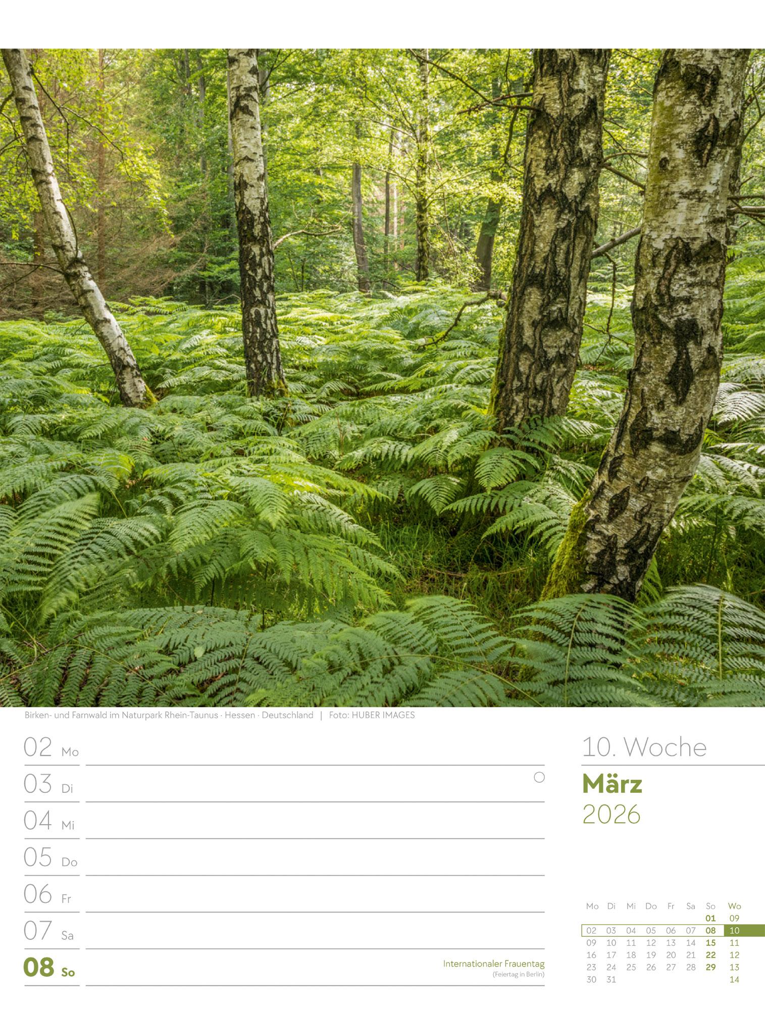 Beispielinhalt (Bild) Unser Wald Wochenplaner Kalender 2026