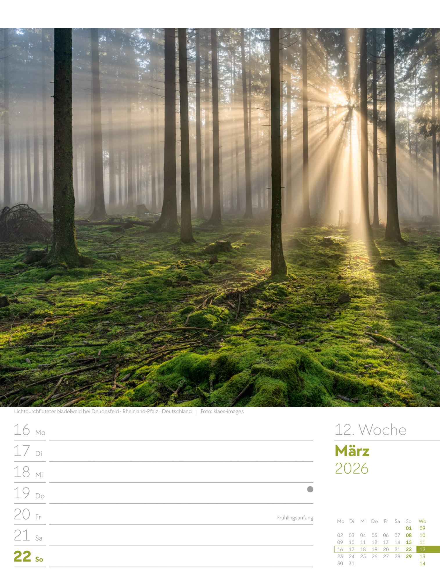 Beispielinhalt (Bild) Unser Wald Wochenplaner Kalender 2026