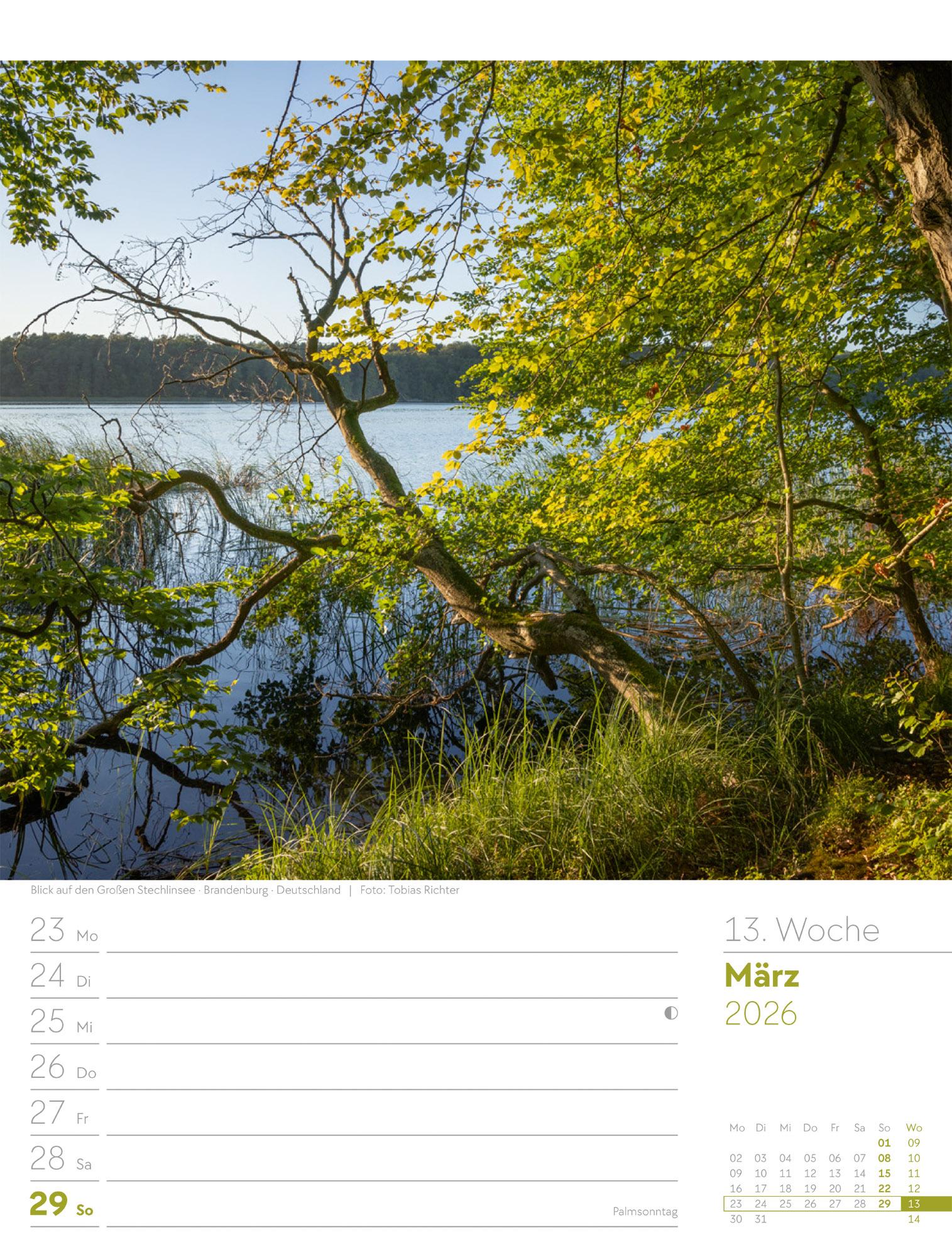 Beispielinhalt (Bild) Unser Wald Wochenplaner Kalender 2026