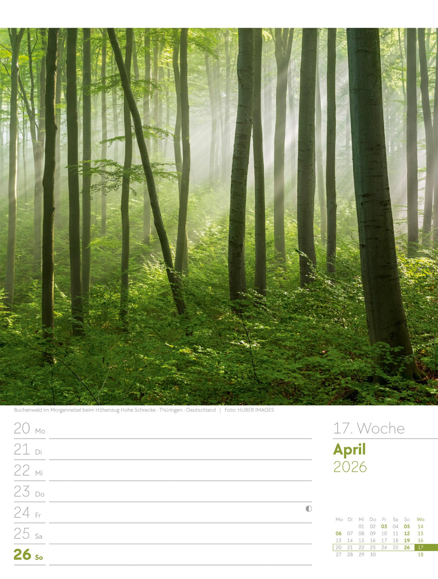 Beispielinhalt (Bild) Unser Wald Wochenplaner Kalender 2026
