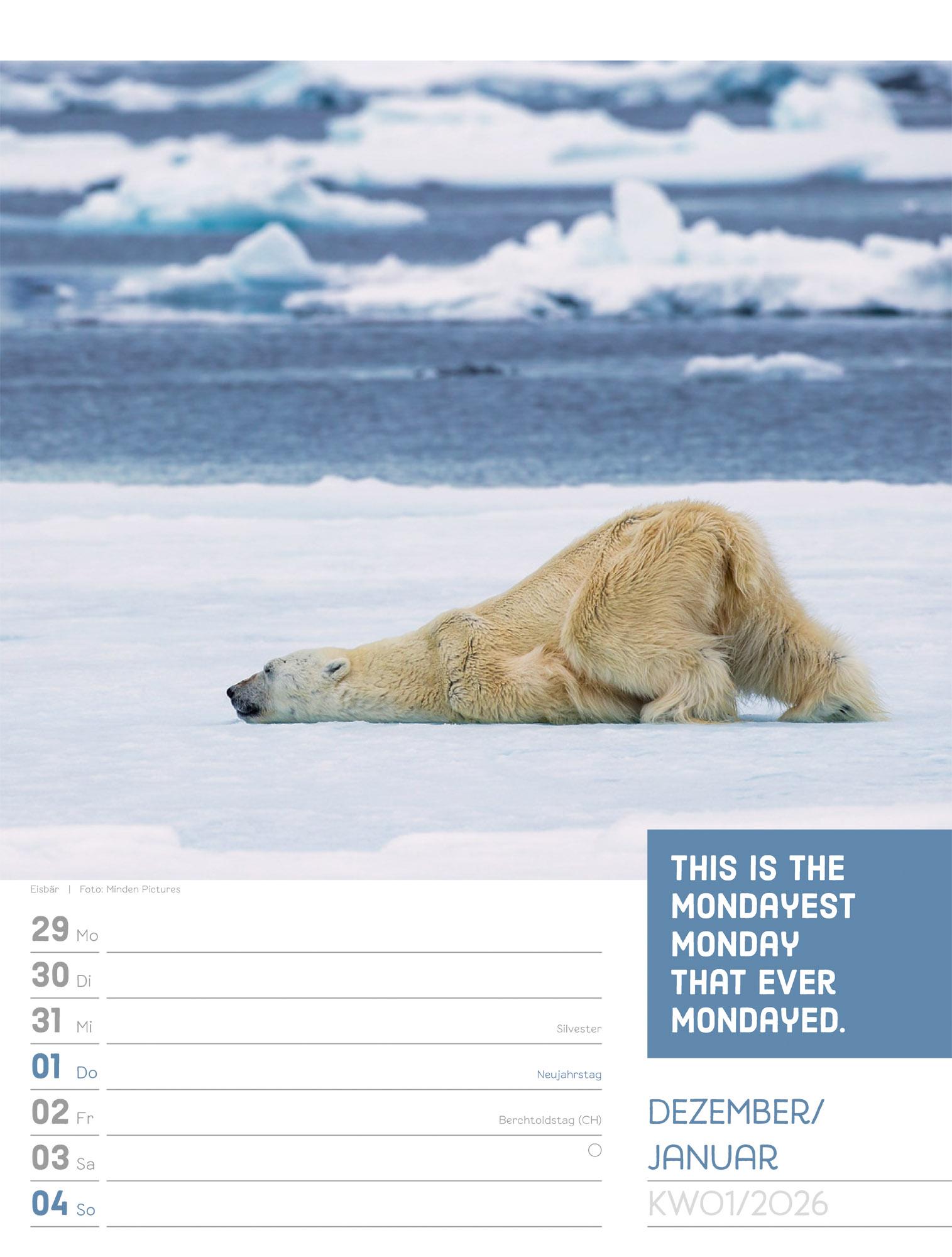 Beispielinhalt (Bild) Tierisch Sprüchekalender Wochenplaner 2026