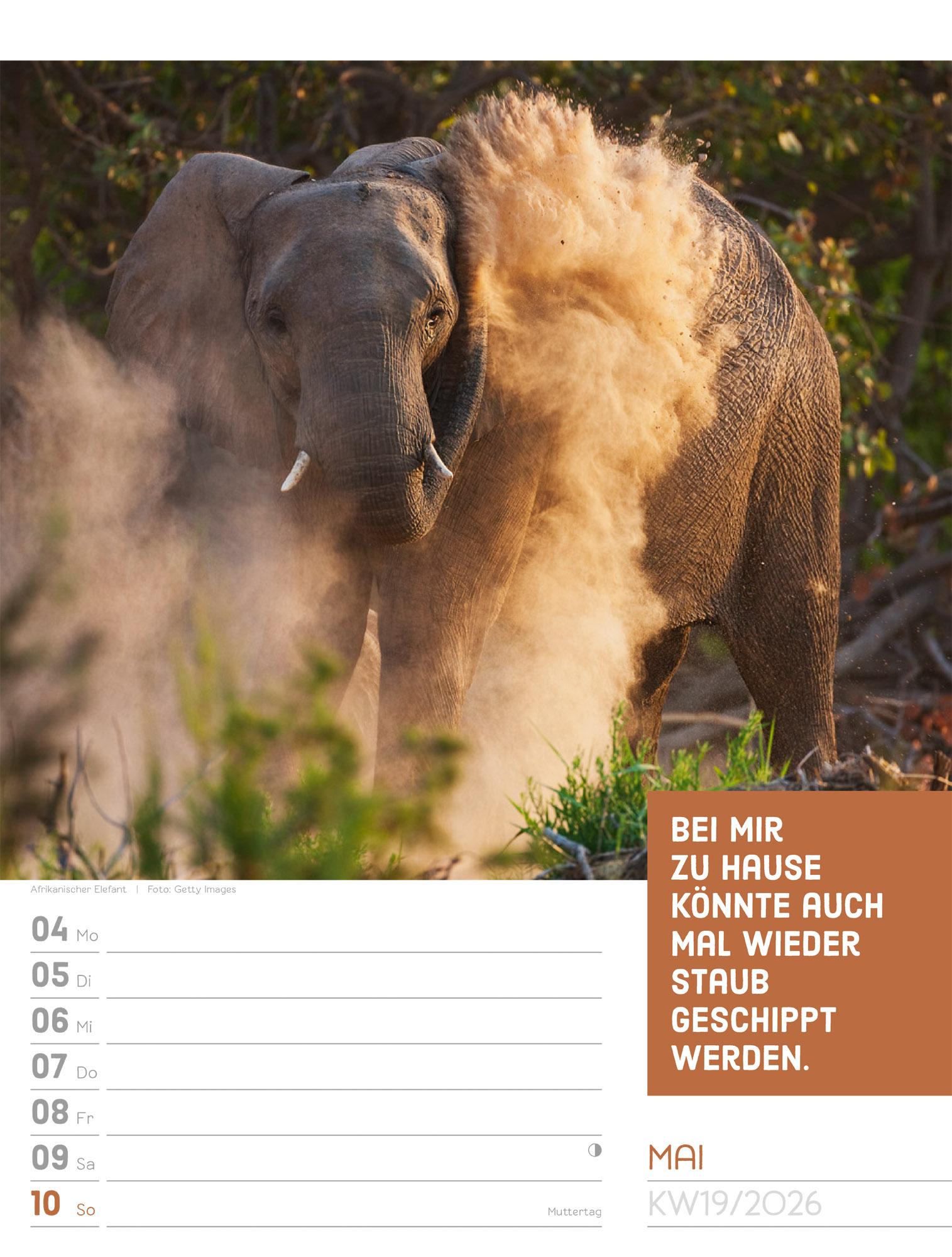Beispielinhalt (Bild) Tierisch Sprüchekalender Wochenplaner 2026