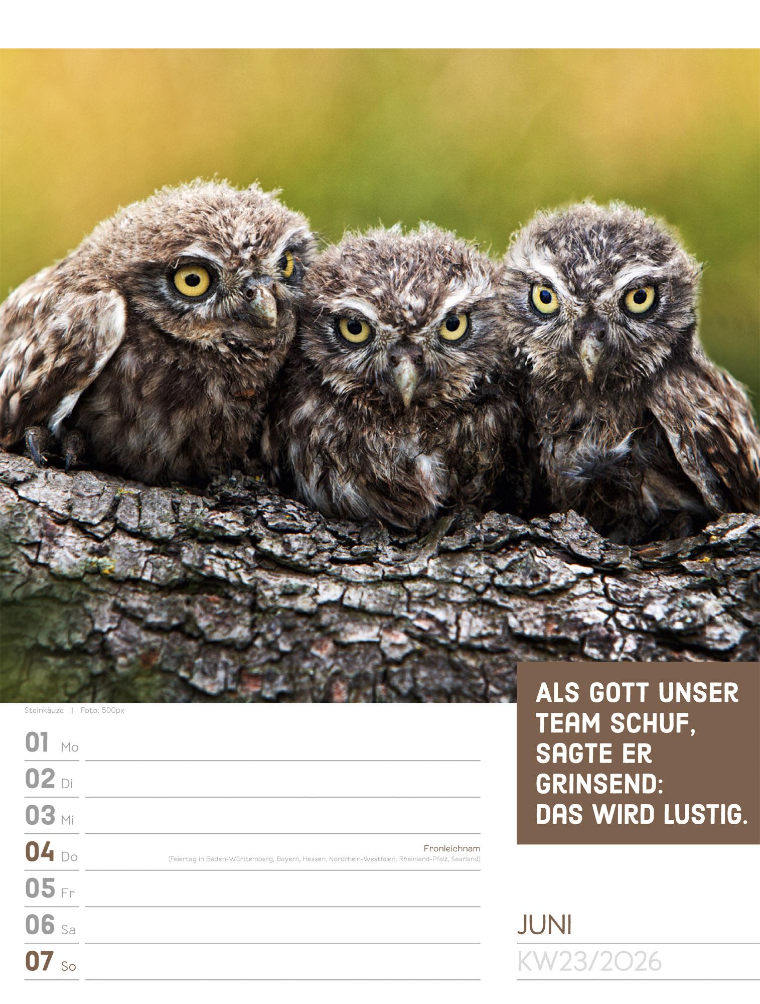 Beispielinhalt (Bild) Tierisch Sprüchekalender Wochenplaner 2026