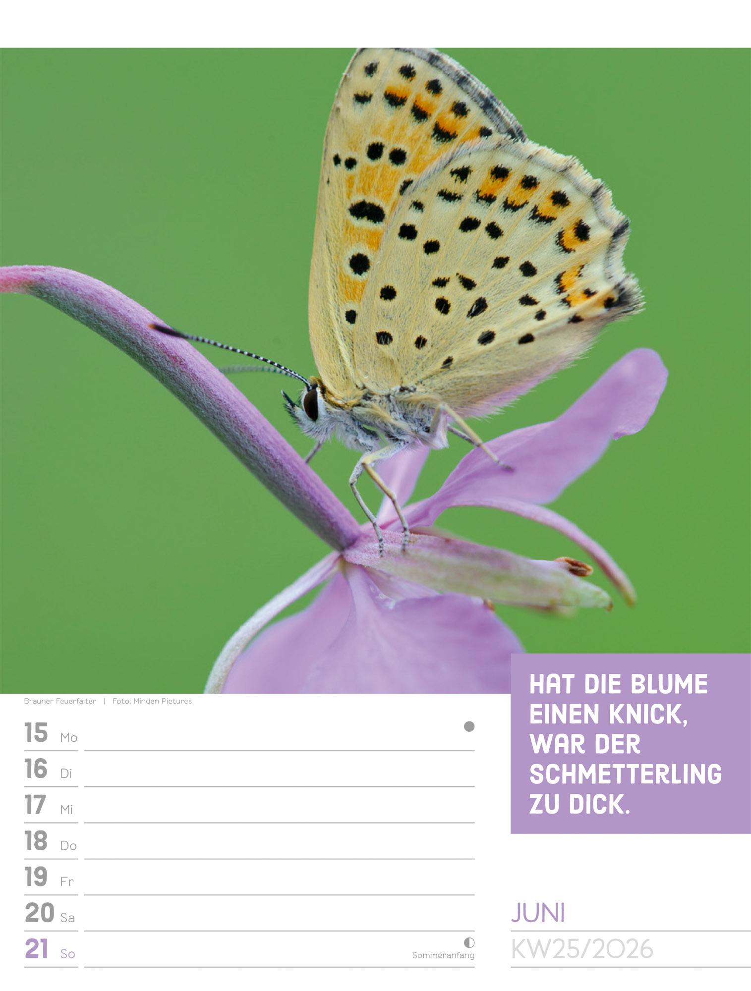 Beispielinhalt (Bild) Tierisch Sprüchekalender Wochenplaner 2026