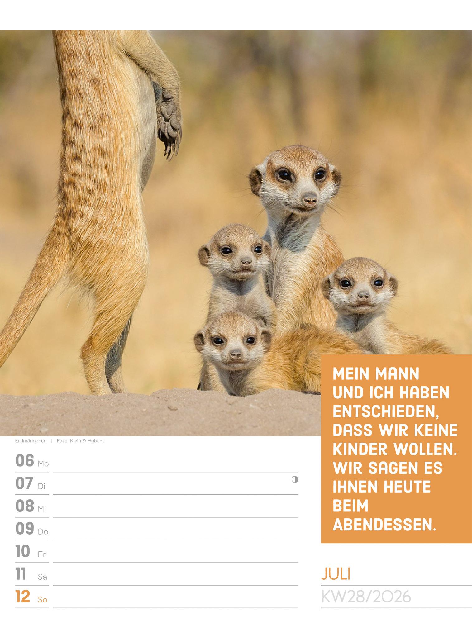 Beispielinhalt (Bild) Tierisch Sprüchekalender Wochenplaner 2026