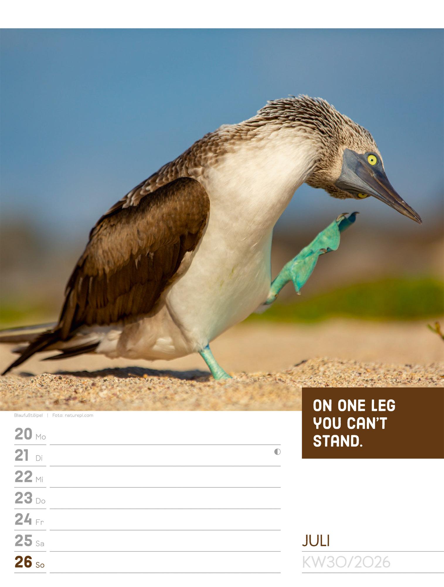 Beispielinhalt (Bild) Tierisch Sprüchekalender Wochenplaner 2026