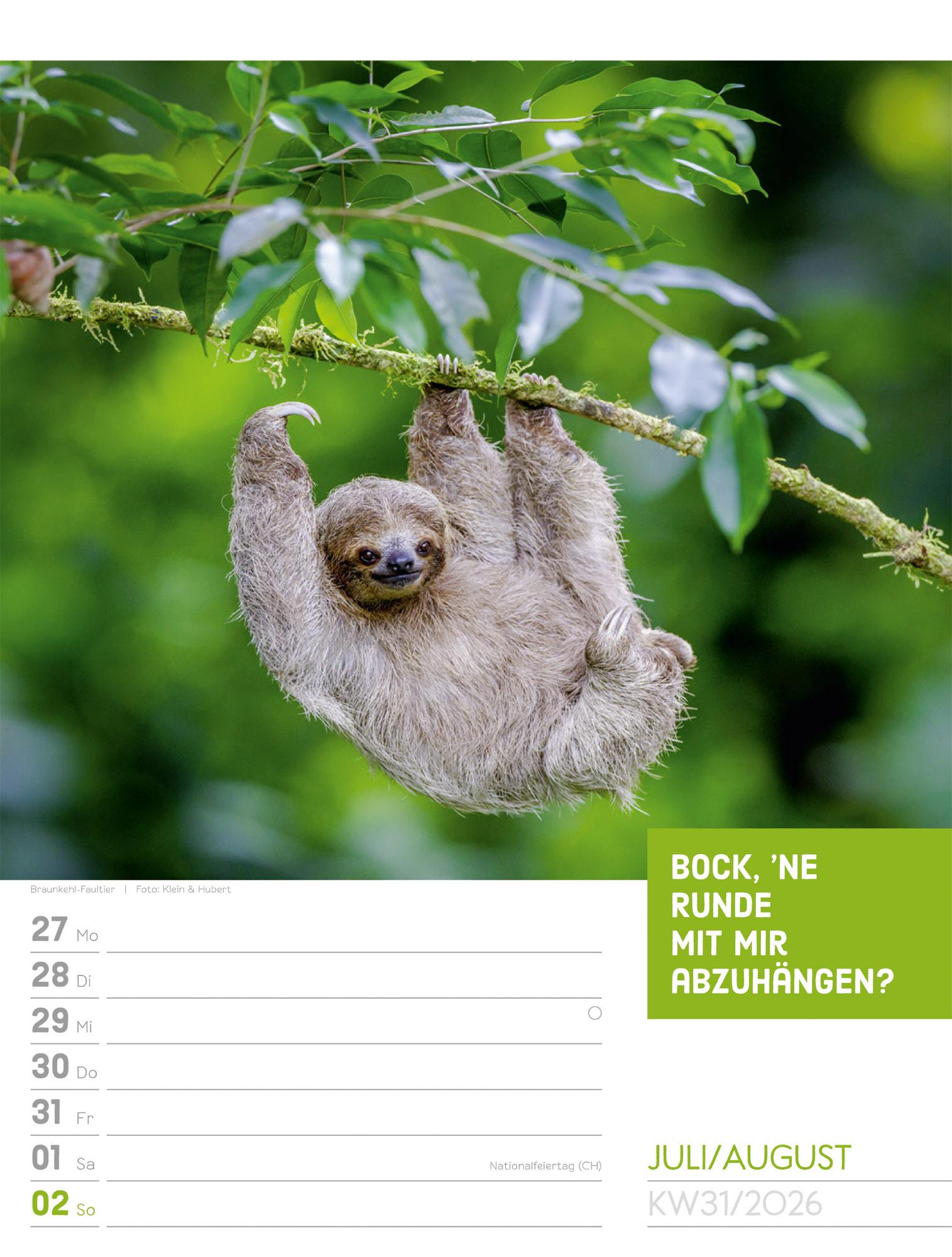 Beispielinhalt (Bild) Tierisch Sprüchekalender Wochenplaner 2026