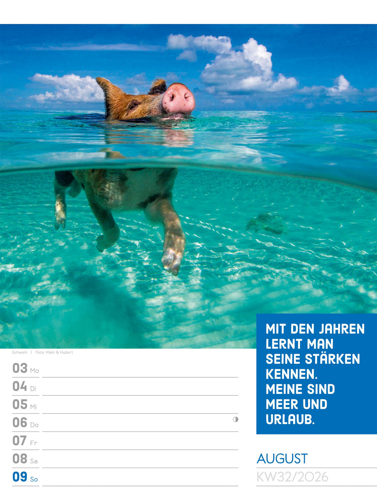Beispielinhalt (Bild) Tierisch Sprüchekalender Wochenplaner 2026