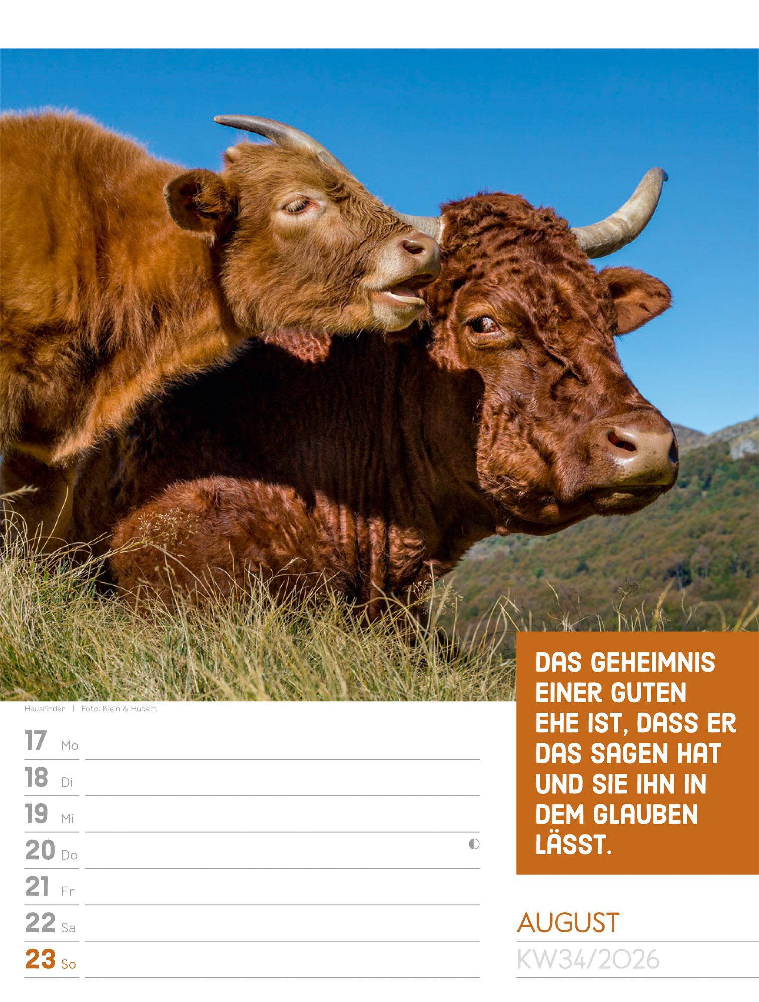 Beispielinhalt (Bild) Tierisch Sprüchekalender Wochenplaner 2026