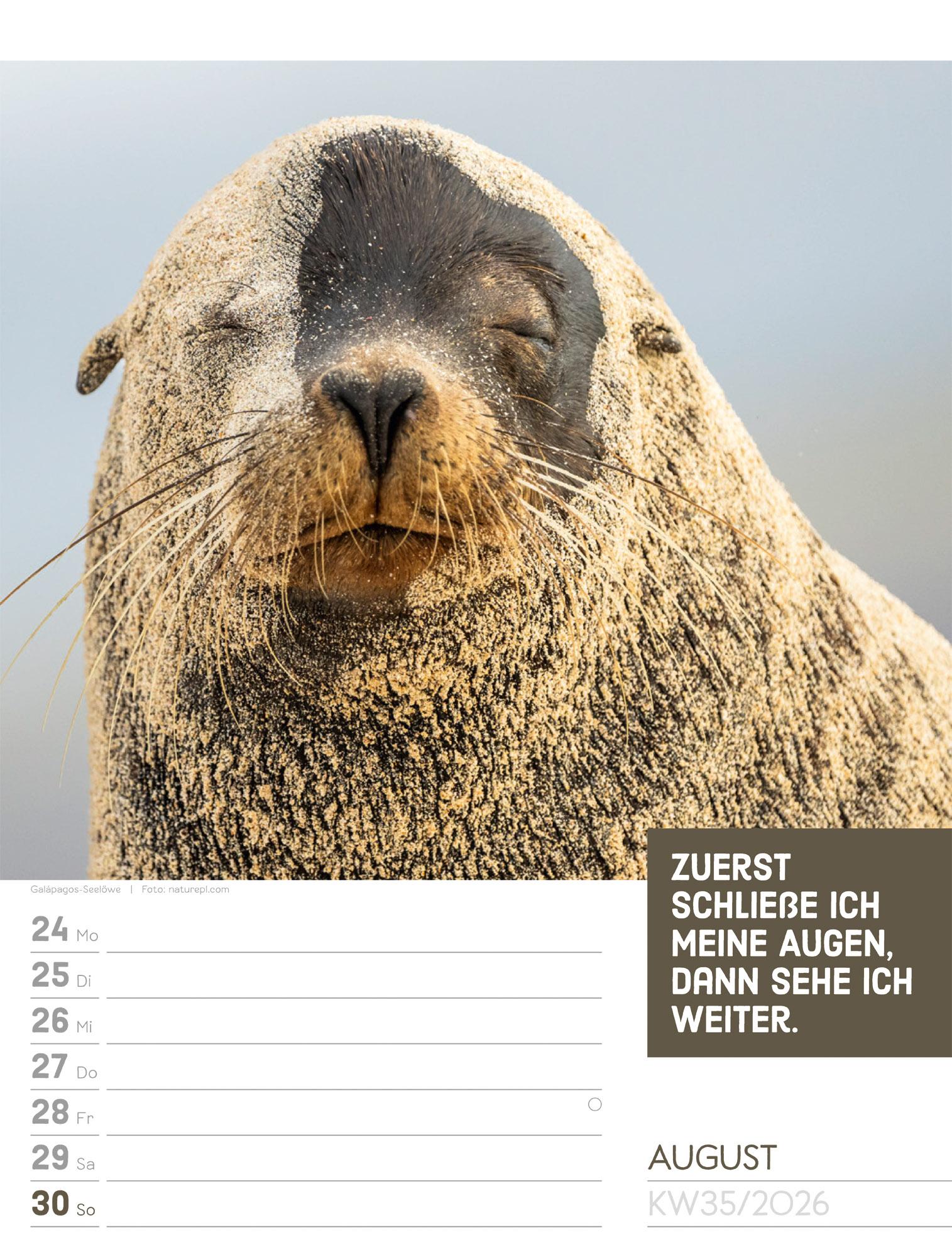 Beispielinhalt (Bild) Tierisch Sprüchekalender Wochenplaner 2026