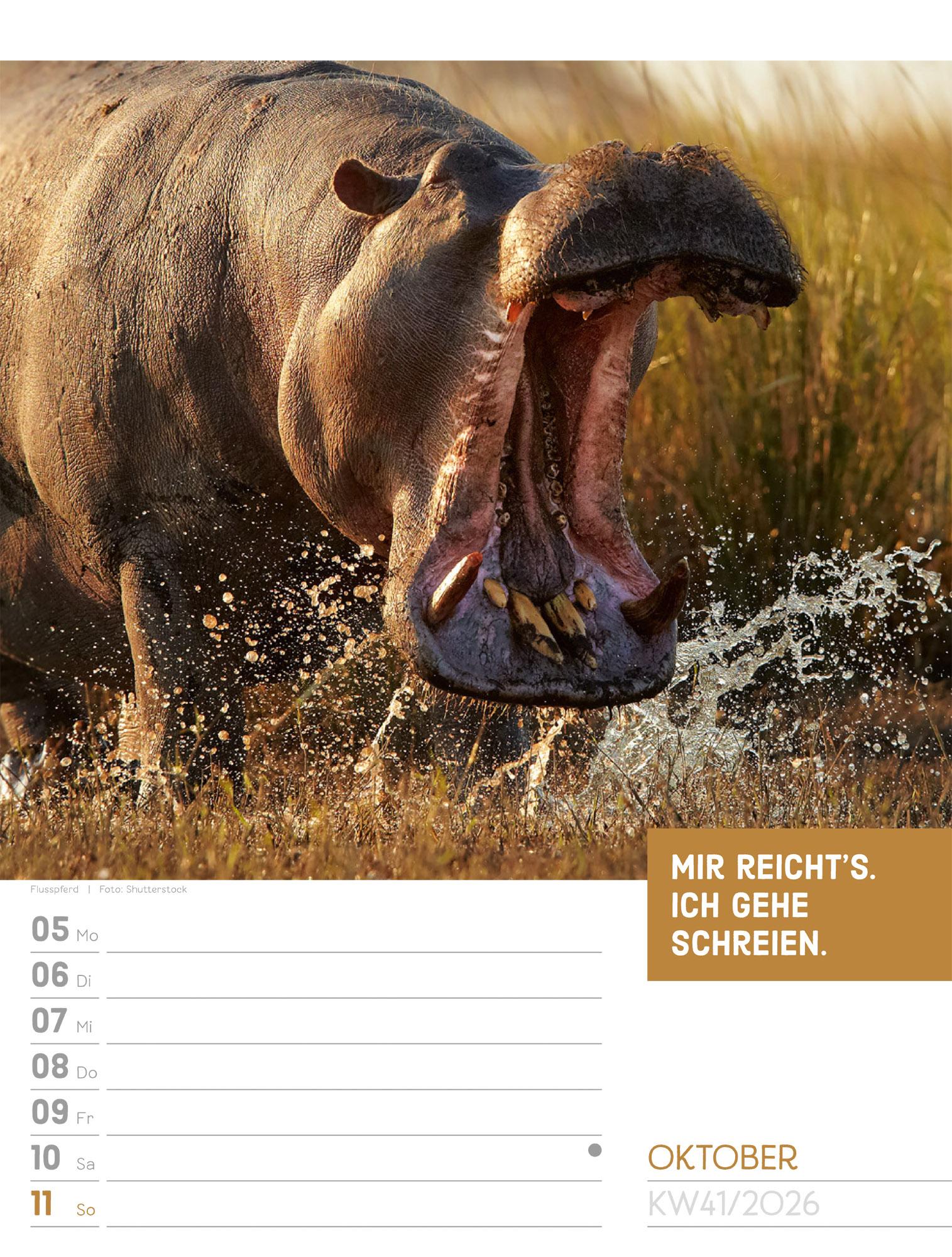 Beispielinhalt (Bild) Tierisch Sprüchekalender Wochenplaner 2026