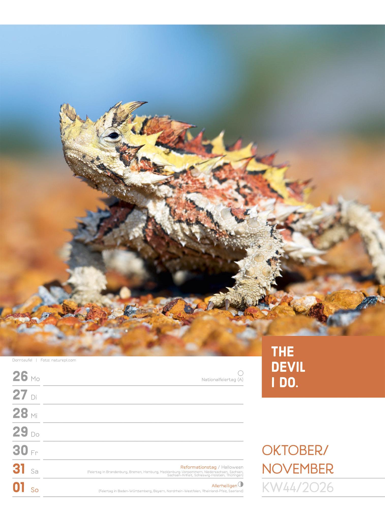 Beispielinhalt (Bild) Tierisch Sprüchekalender Wochenplaner 2026