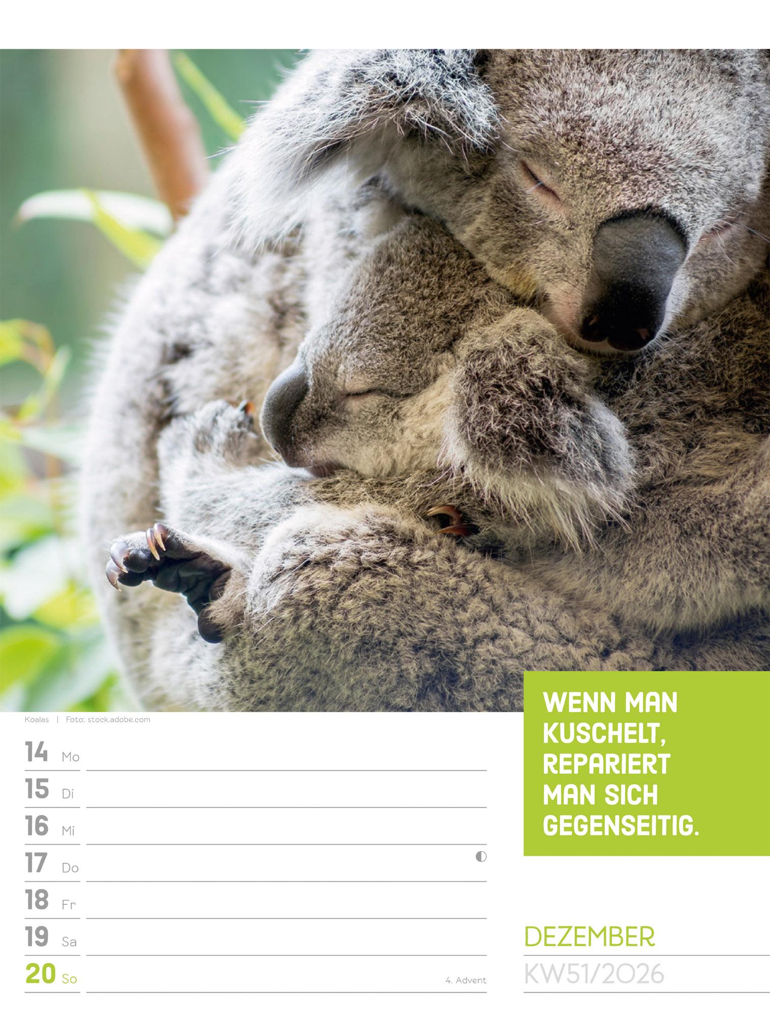 Beispielinhalt (Bild) Tierisch Sprüchekalender Wochenplaner 2026