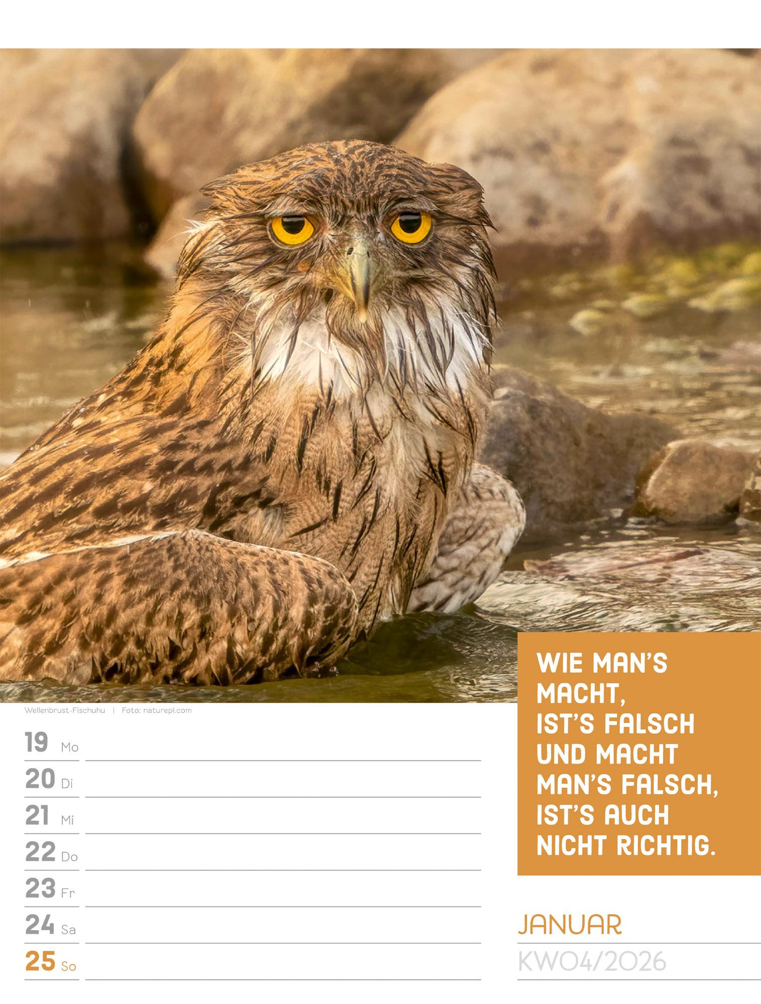 Beispielinhalt (Bild) Tierisch Sprüchekalender Wochenplaner 2026