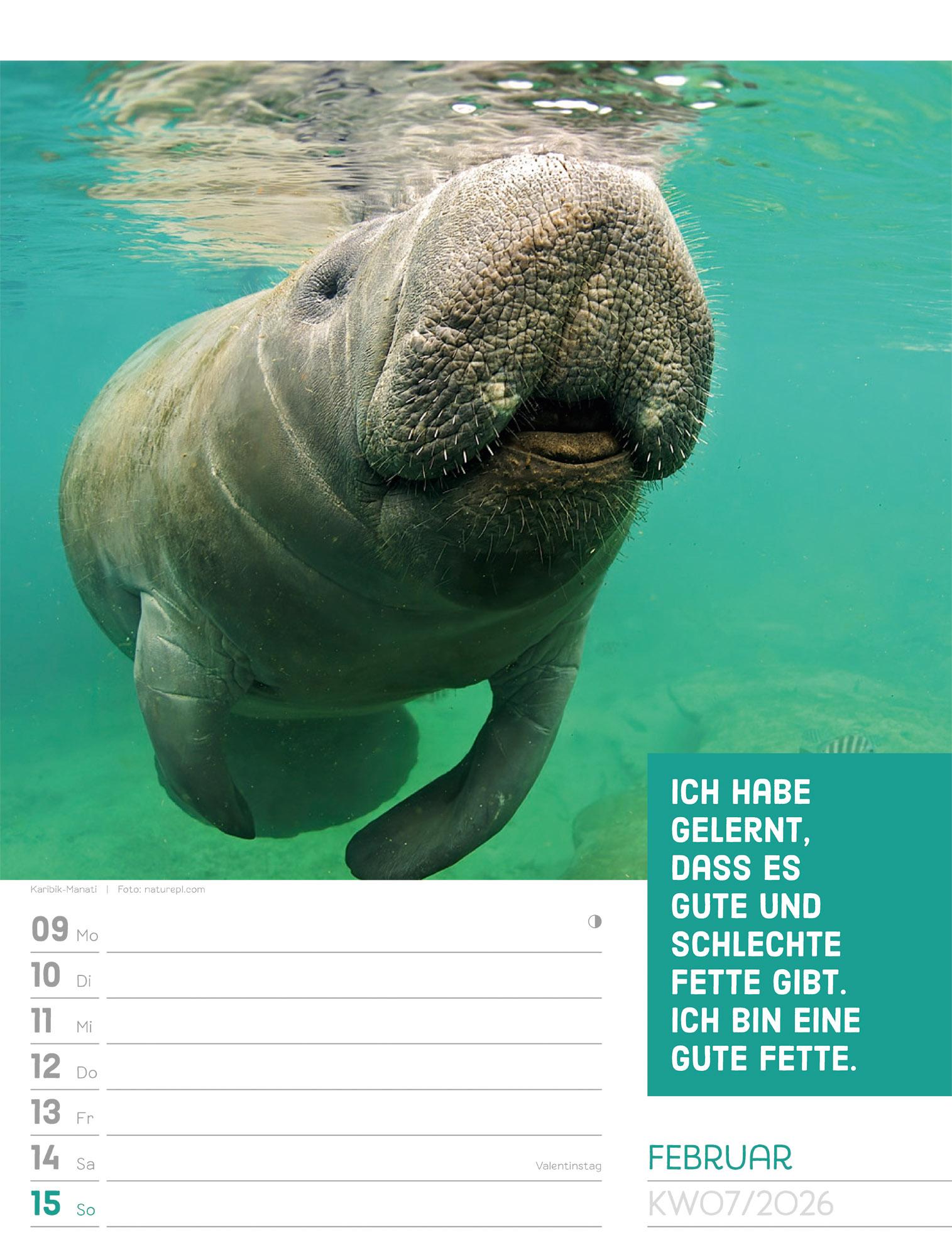 Beispielinhalt (Bild) Tierisch Sprüchekalender Wochenplaner 2026