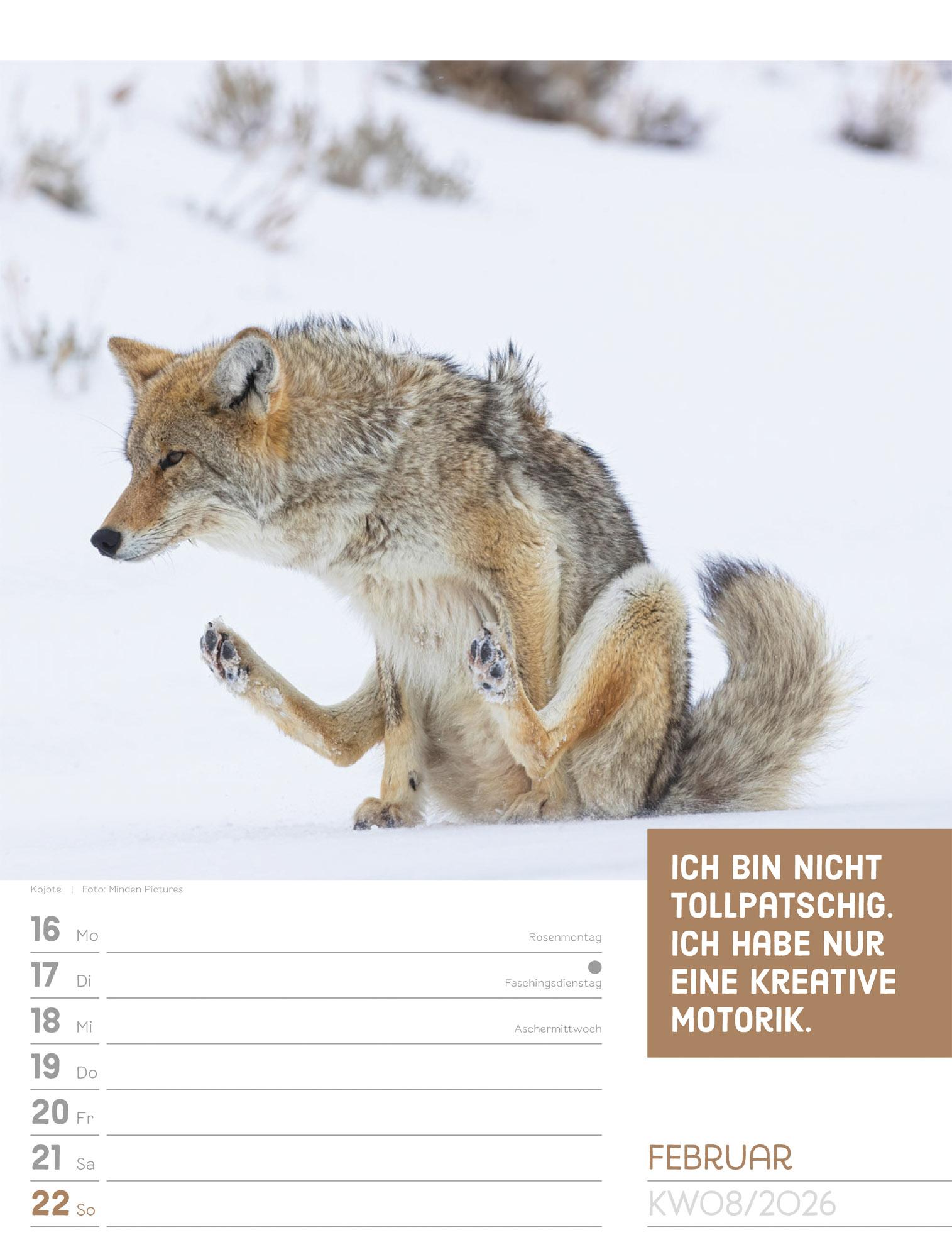 Beispielinhalt (Bild) Tierisch Sprüchekalender Wochenplaner 2026