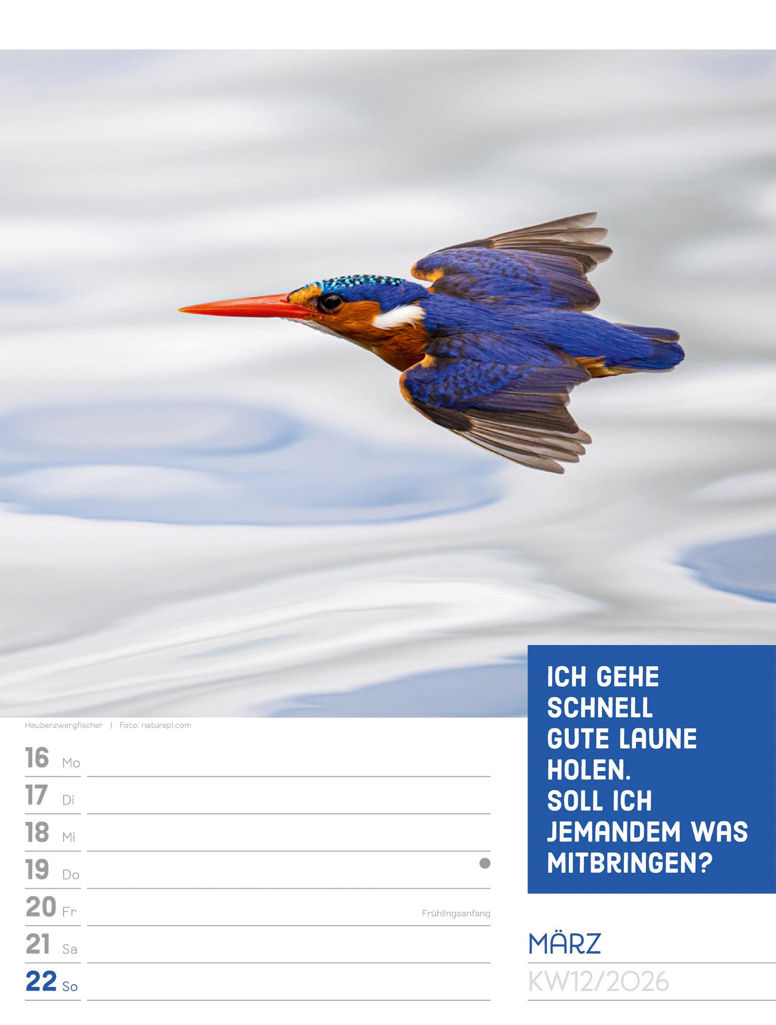 Beispielinhalt (Bild) Tierisch Sprüchekalender Wochenplaner 2026