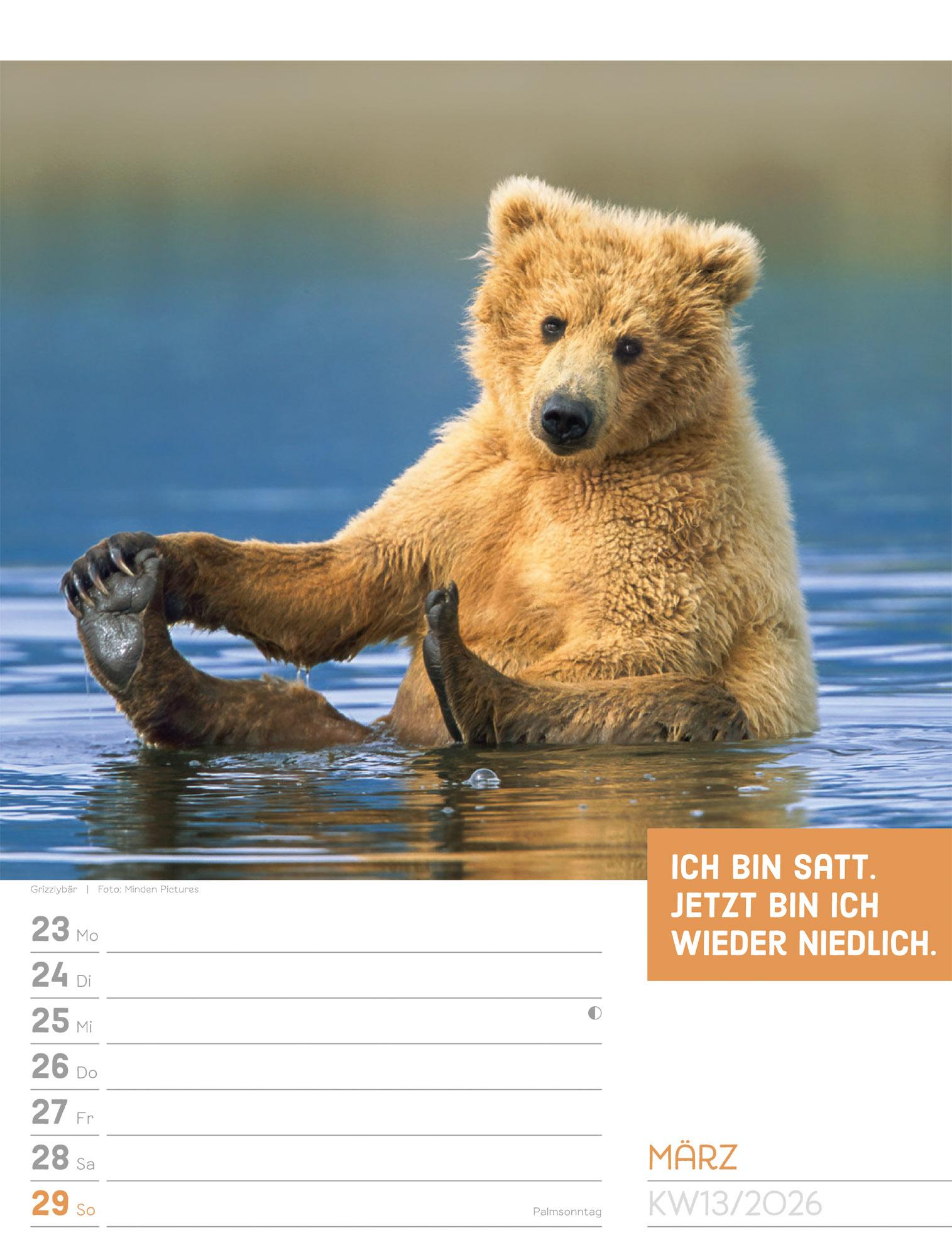 Beispielinhalt (Bild) Tierisch Sprüchekalender Wochenplaner 2026