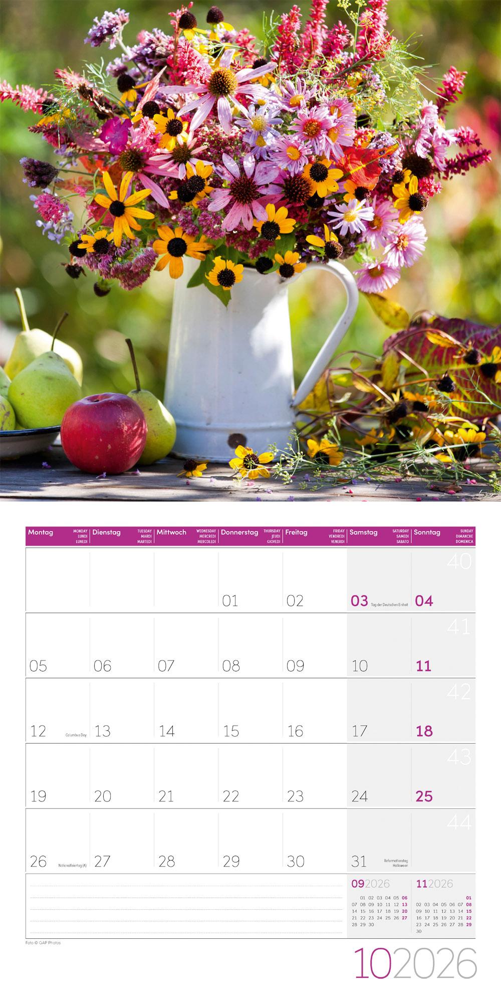 Beispielinhalt (Bild) Landleben Broschürenkalender 2026 - 30x30 - Art12