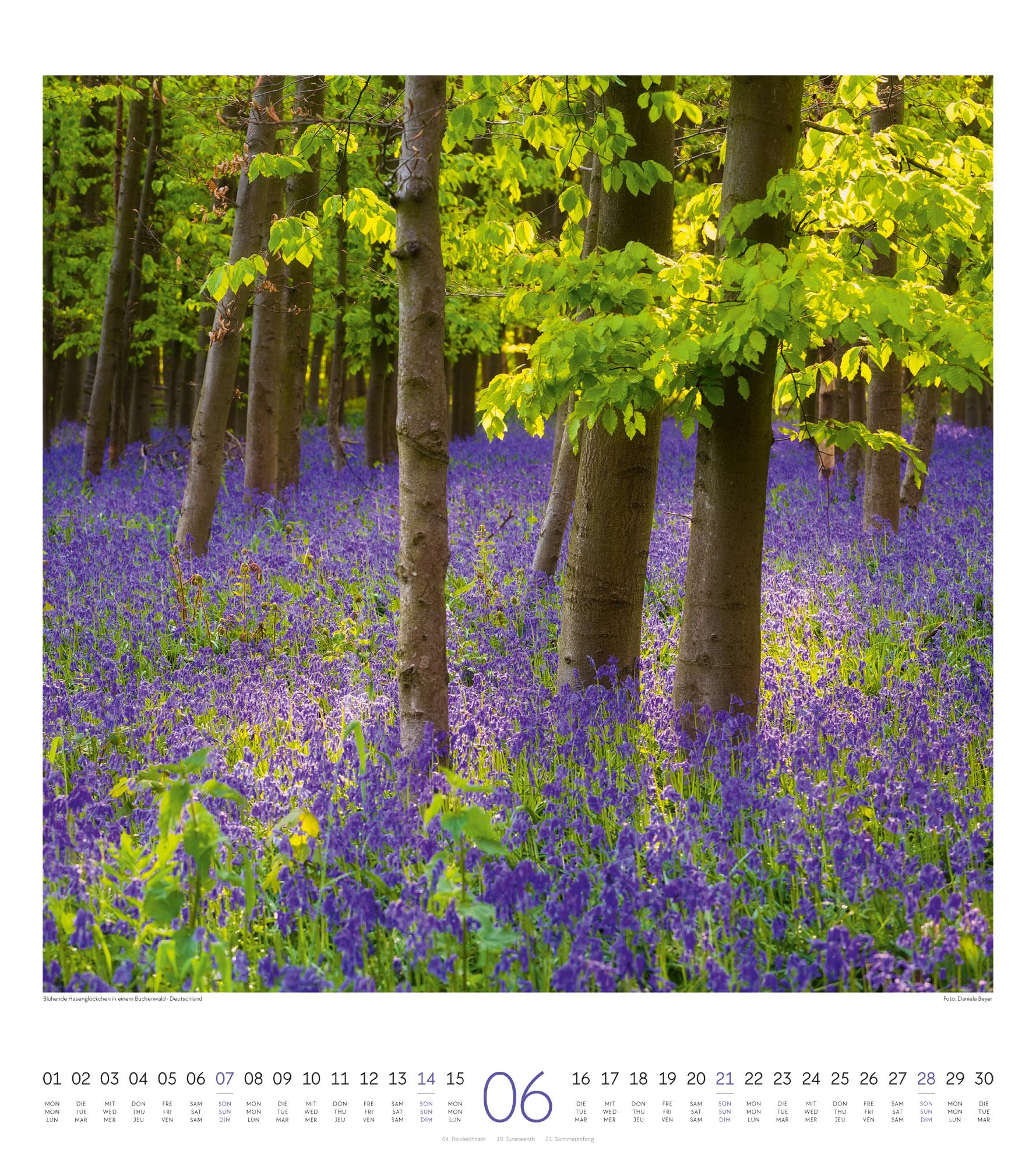 Beispielinhalt (Bild) Lichtblicke Kalender 2026