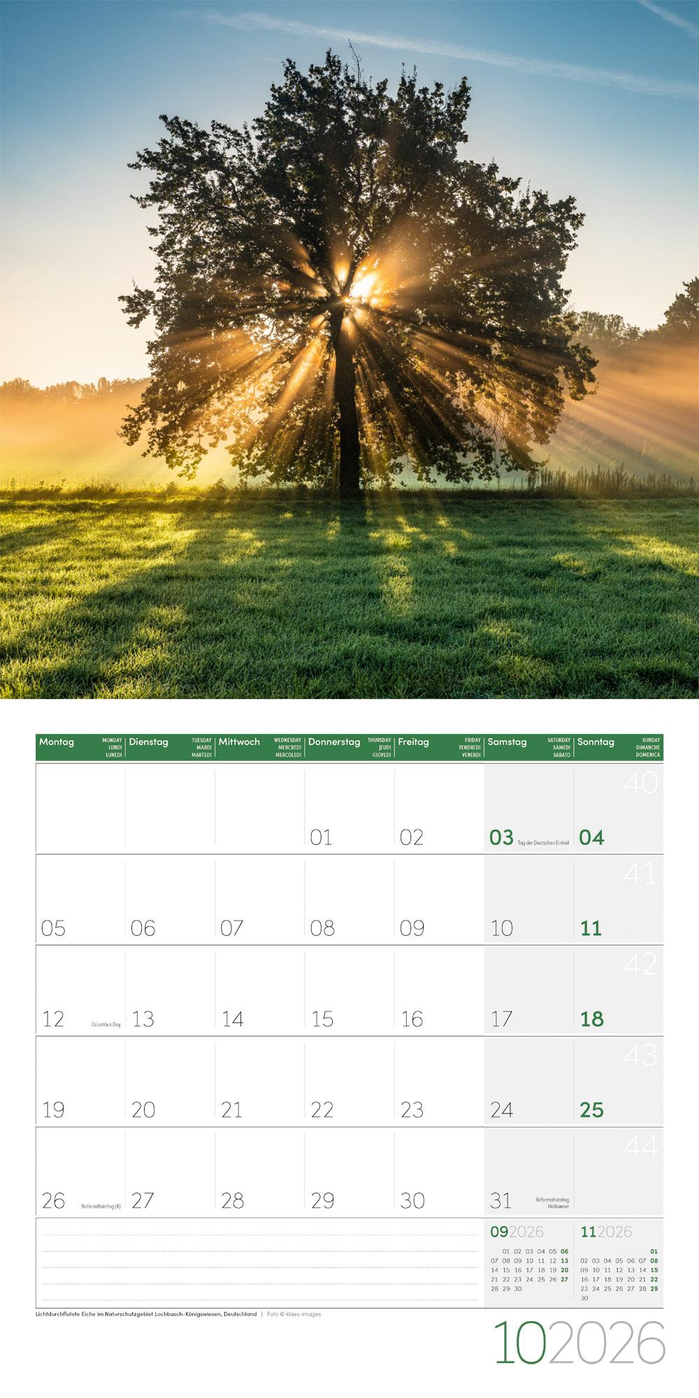 Beispielinhalt (Bild) Magie des Lichts Broschürenkalender 2026 - 30x30 - Art12