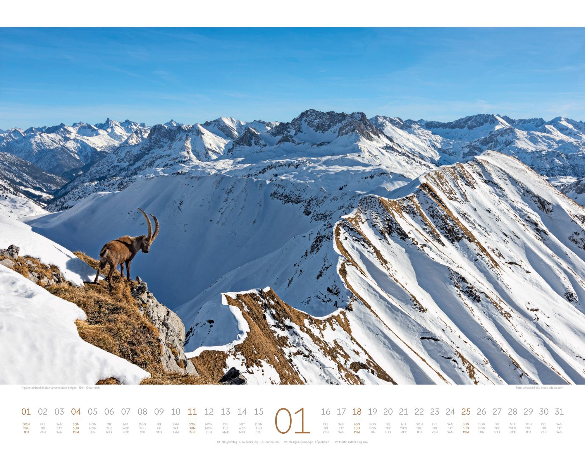 Beispielinhalt (Bild) Naturparadies Alpen Kalender 2026