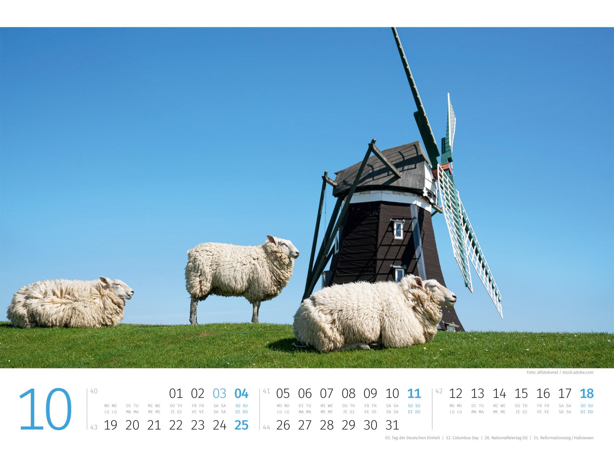 Beispielinhalt (Bild) Schafe Kalender 2026