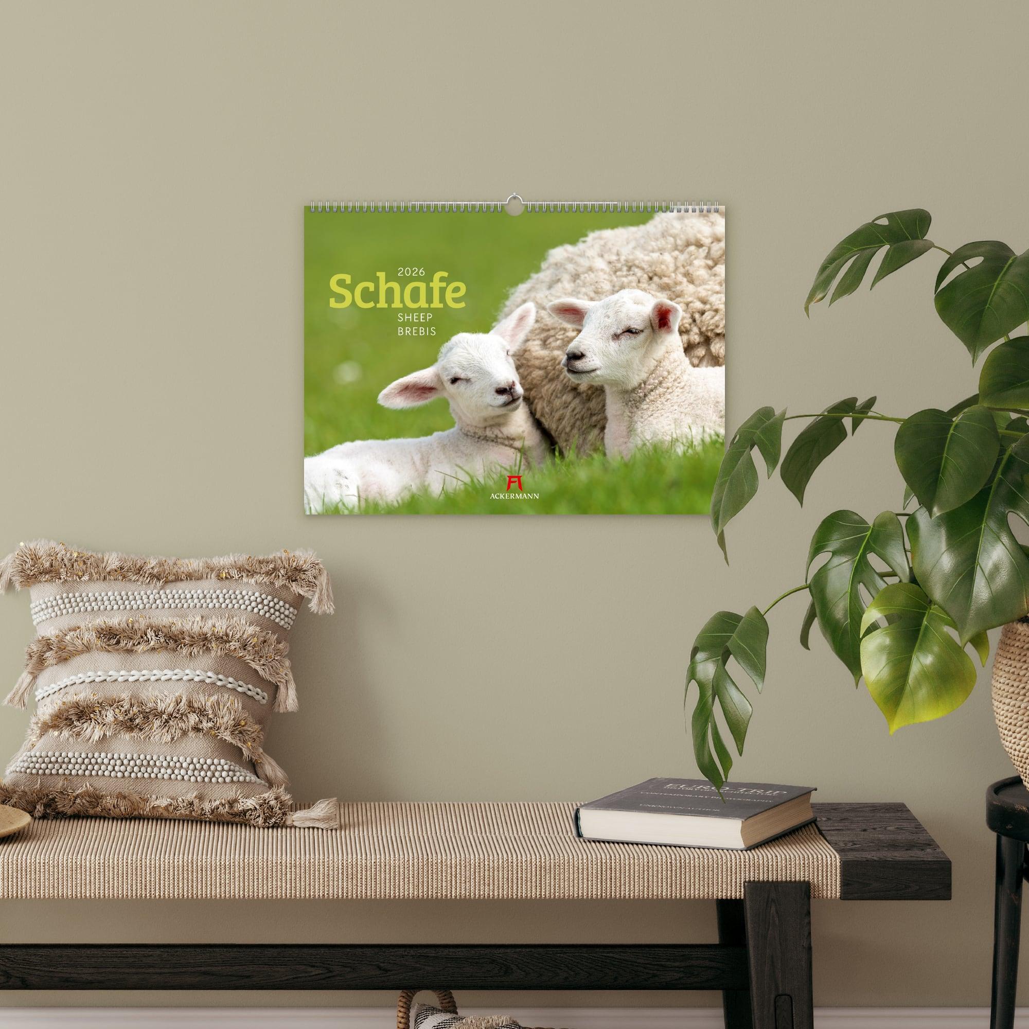 Beispielinhalt (Bild) Schafe Kalender 2026