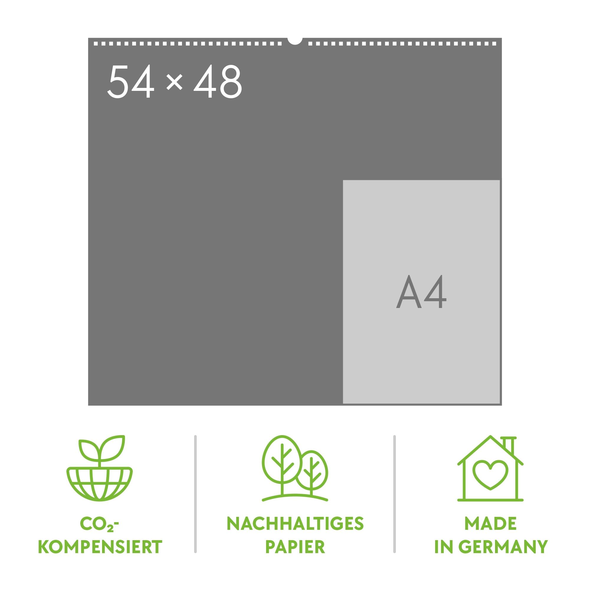 Beispielinhalt (Bild) Verrückte Welt Kalender 2026