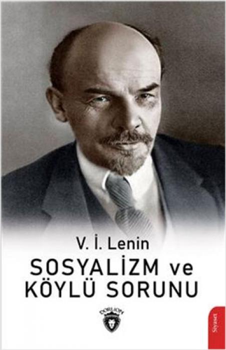 Vorderes Coverbild Sosyalizm ve Köylü Sorunu