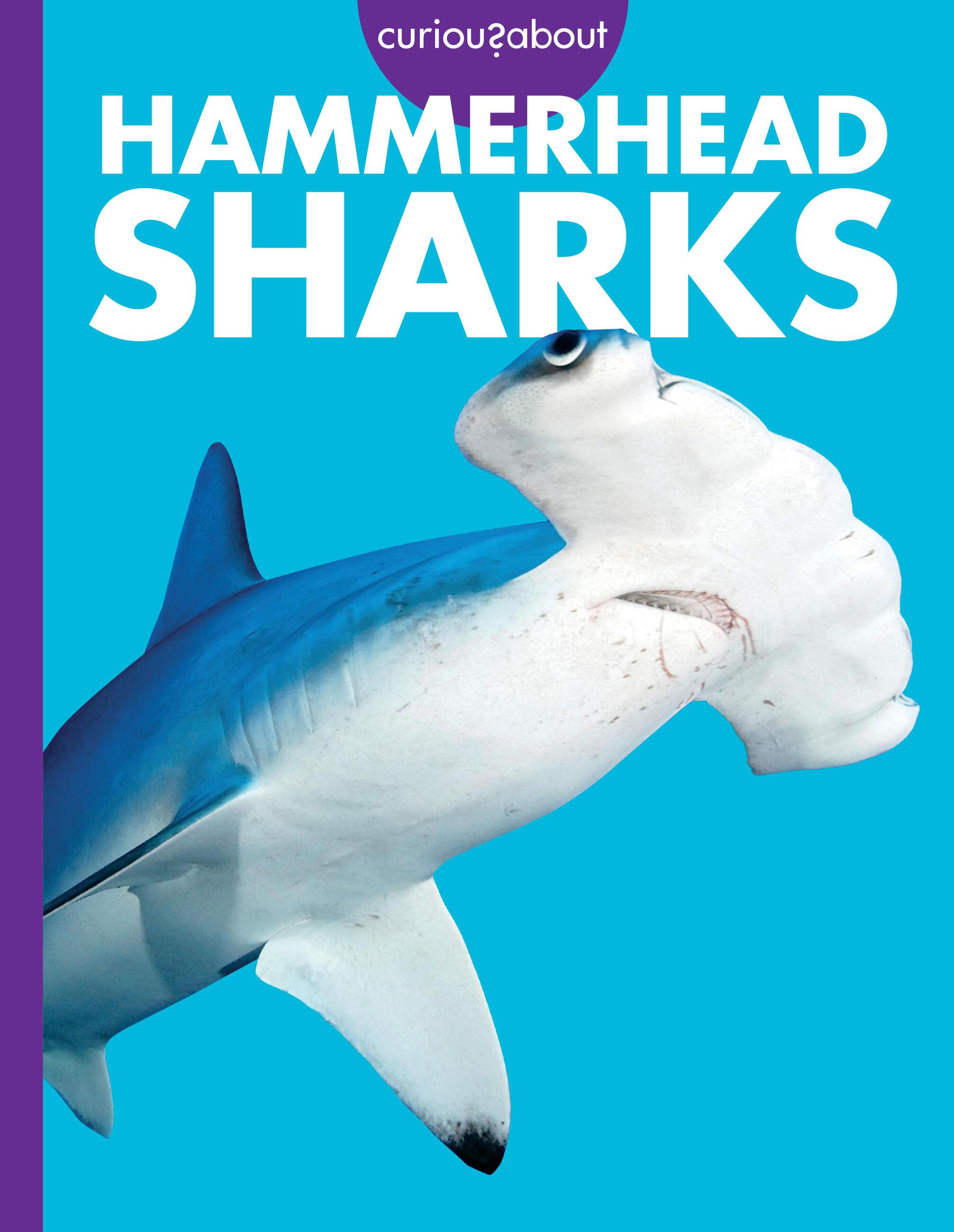 Vorderes Coverbild Curious about Hammerhead Sharks