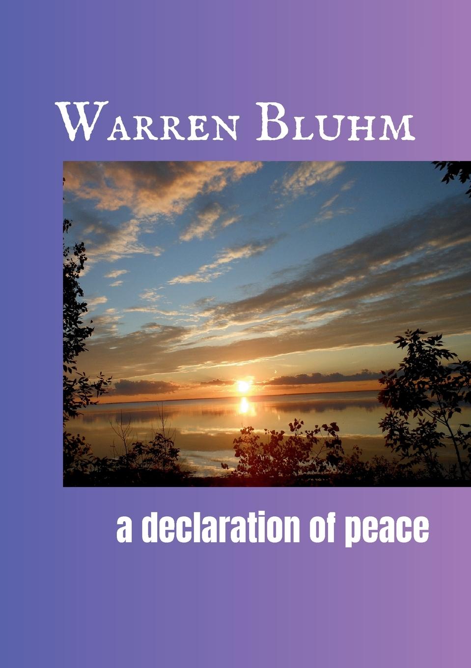 Vorderes Coverbild A Declaration of Peace