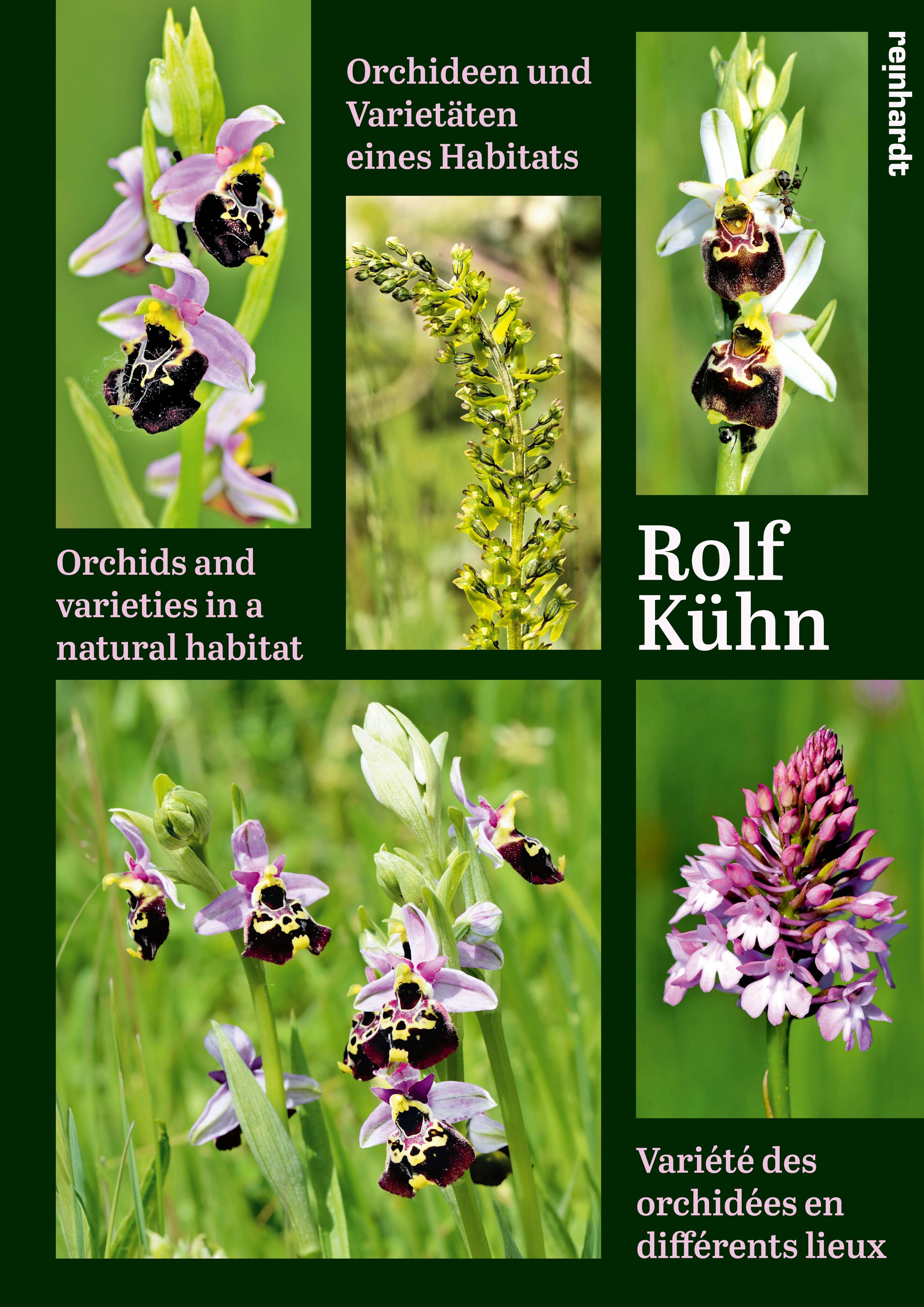 Vorderes Coverbild Orchideen und Varietäten eines Habitats