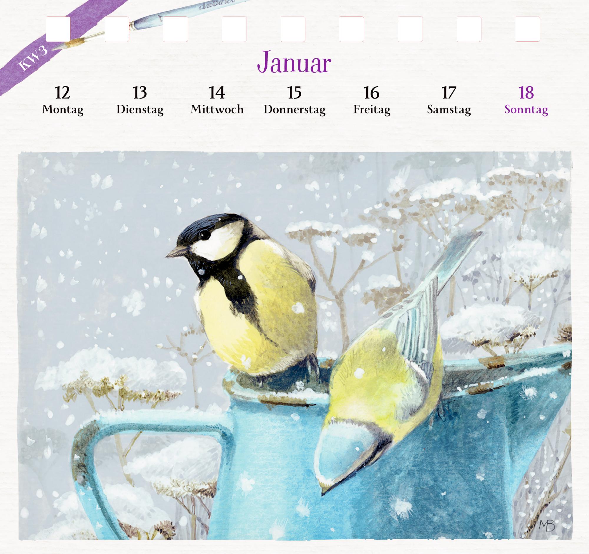 Beispielinhalt (Bild) Kalender mit 53 Postkarten 2026 - Blick in den Garten