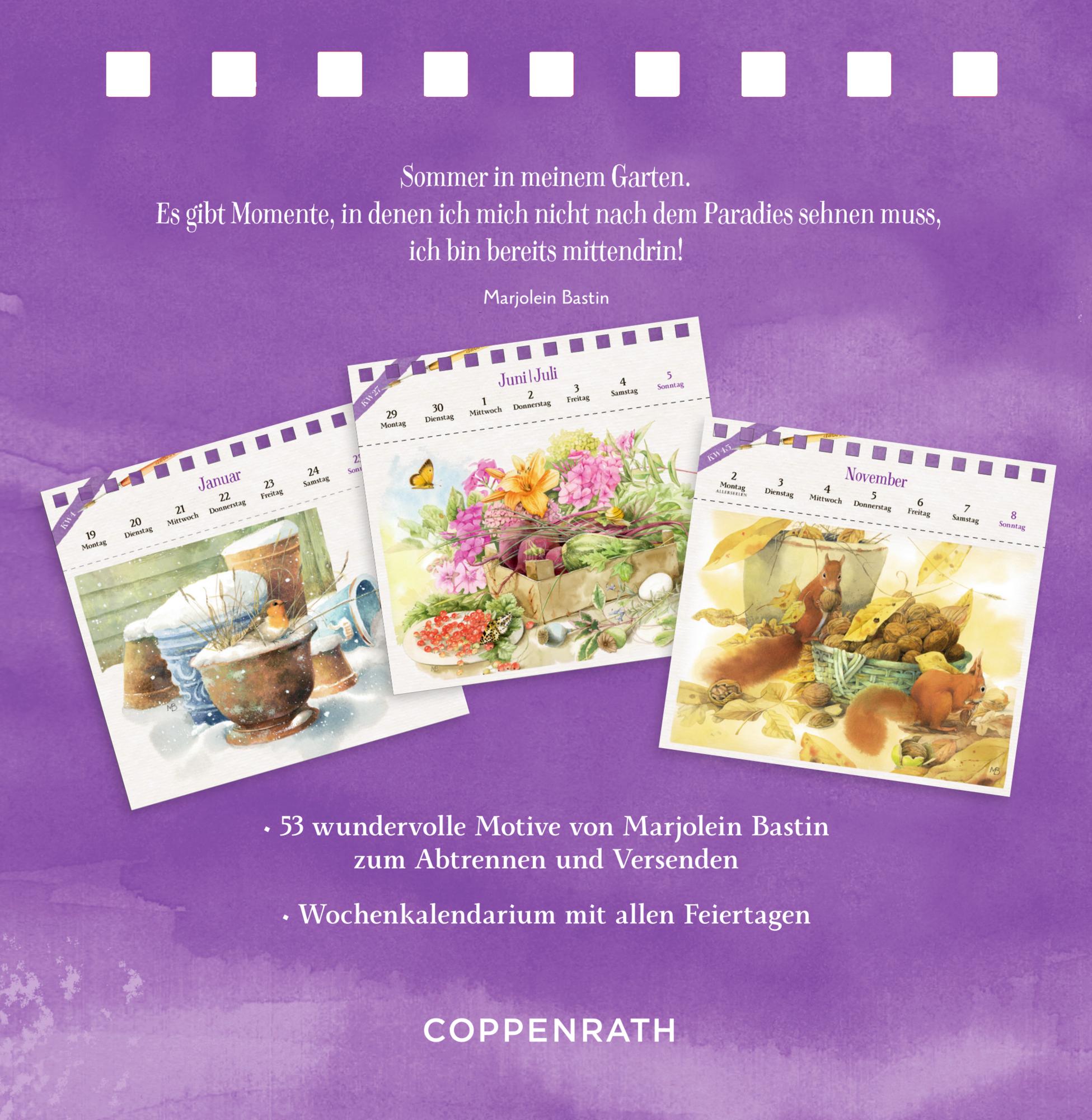 Rückseitencover Kalender mit 53 Postkarten 2026 - Blick in den Garten
