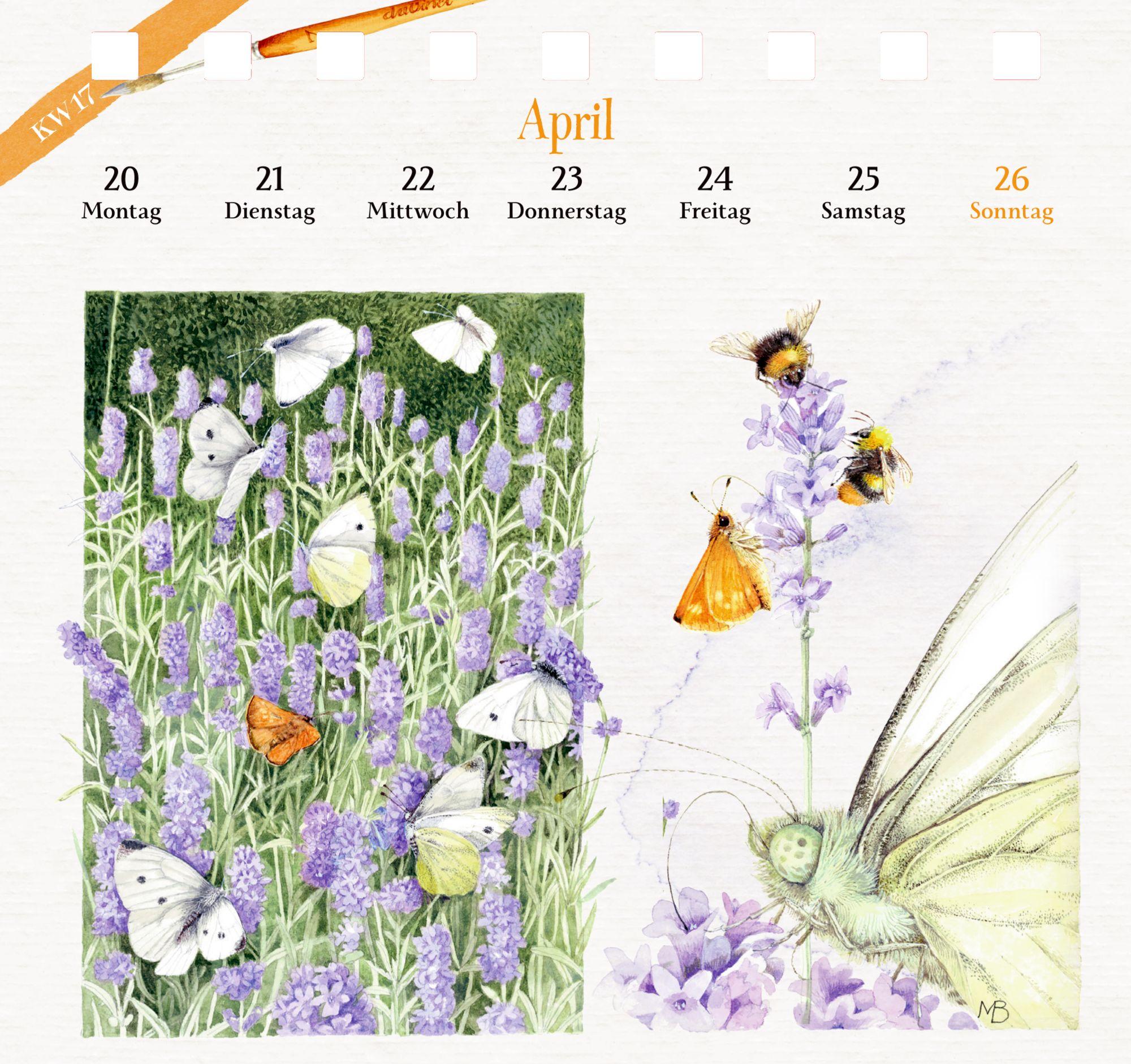 Beispielinhalt (Bild) Kalender mit 53 Postkarten 2026 - Spaziergang durch die Natur