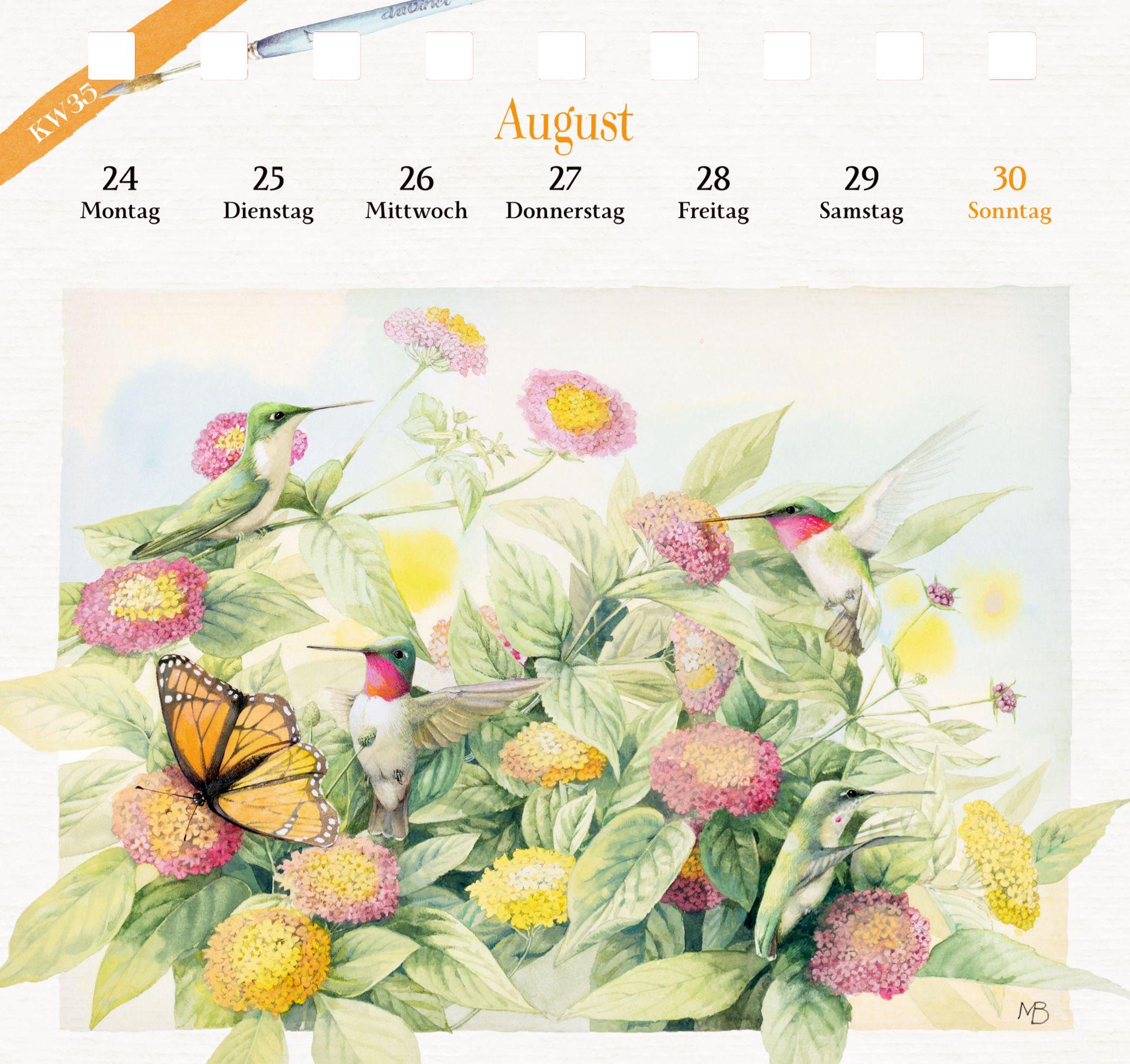 Beispielinhalt (Bild) Kalender mit 53 Postkarten 2026 - Spaziergang durch die Natur