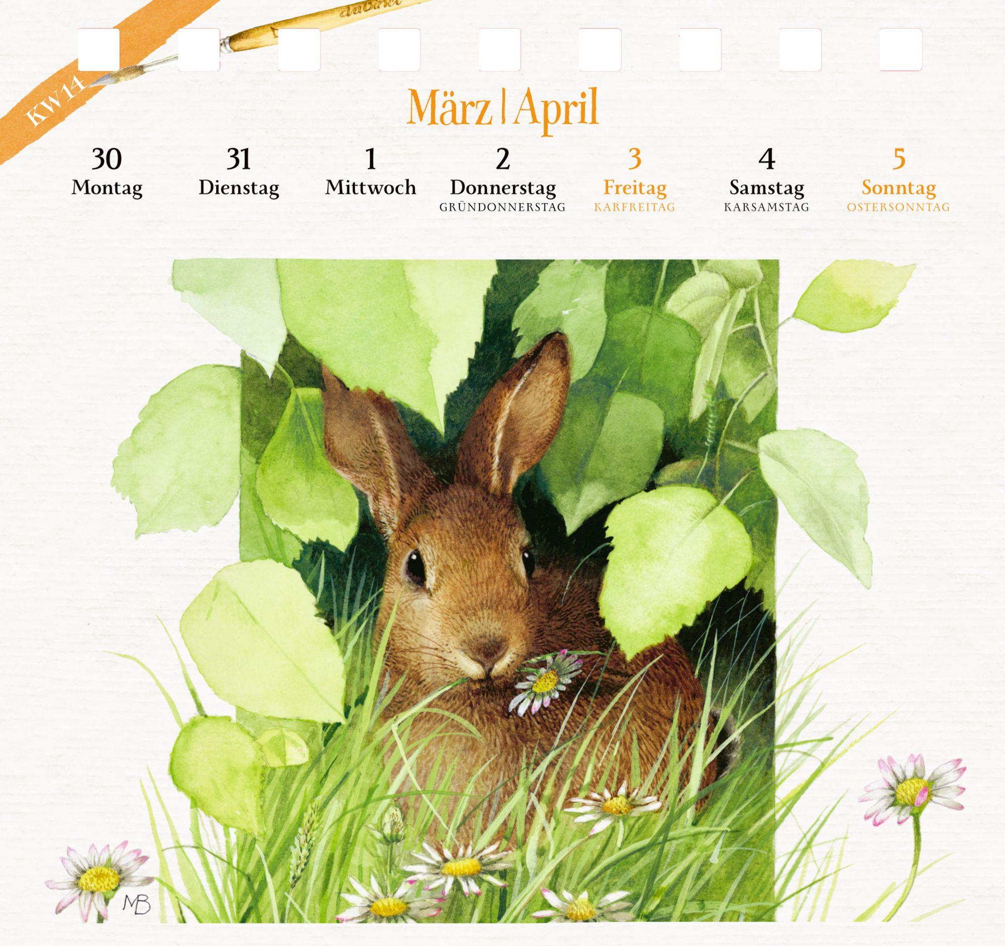 Beispielinhalt (Bild) Kalender mit 53 Postkarten 2026 - Spaziergang durch die Natur