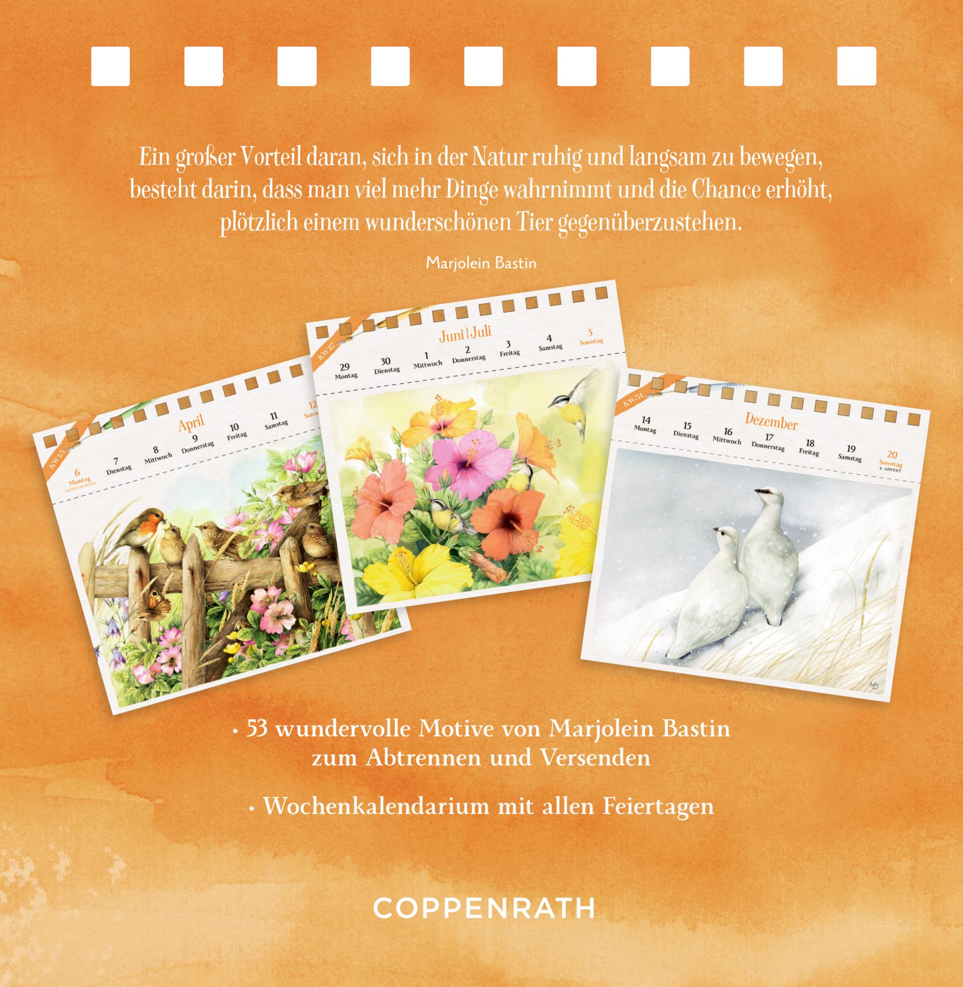 Rückseitencover Kalender mit 53 Postkarten 2026 - Spaziergang durch die Natur