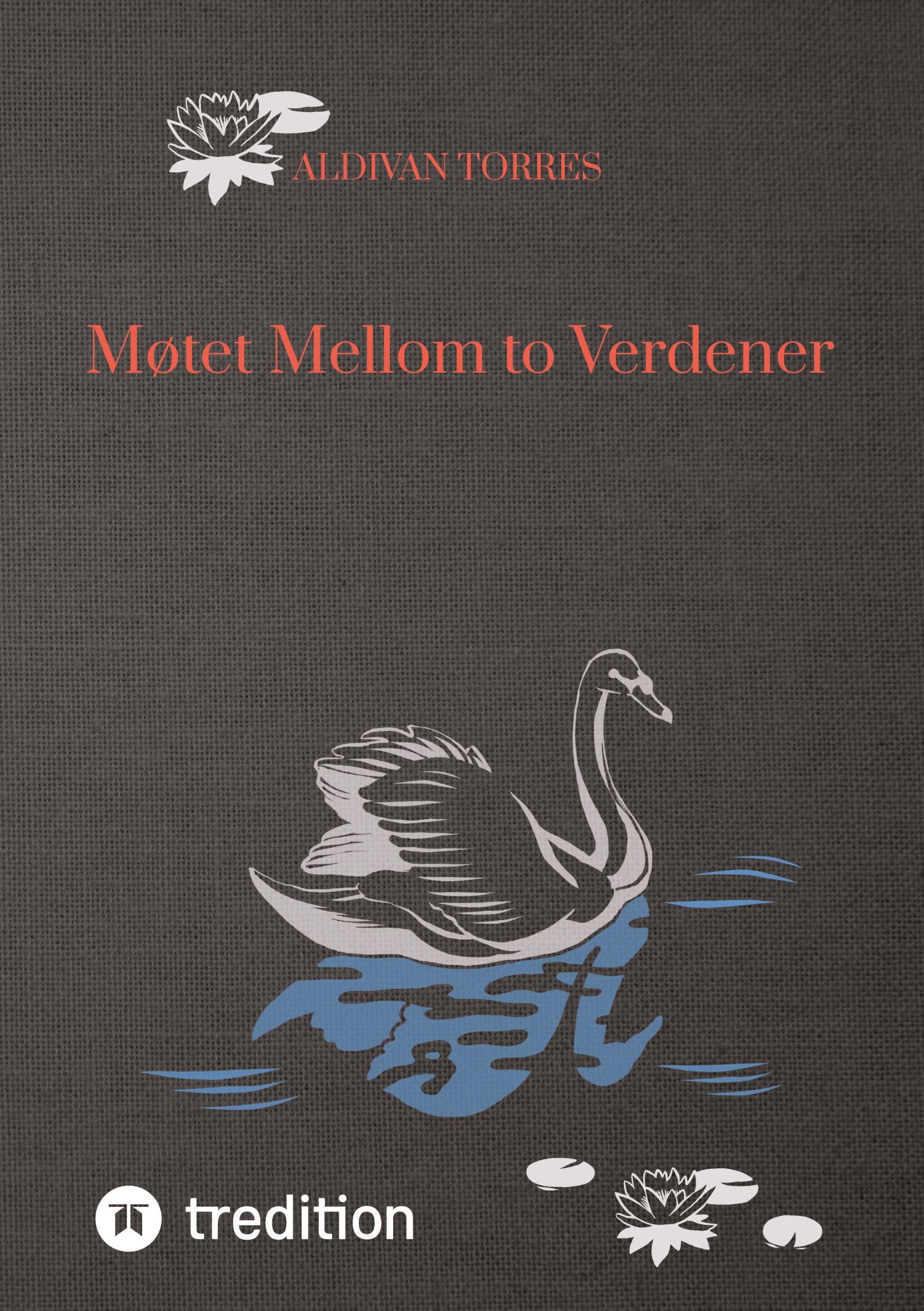 Vorderes Coverbild Møtet Mellom to Verdener