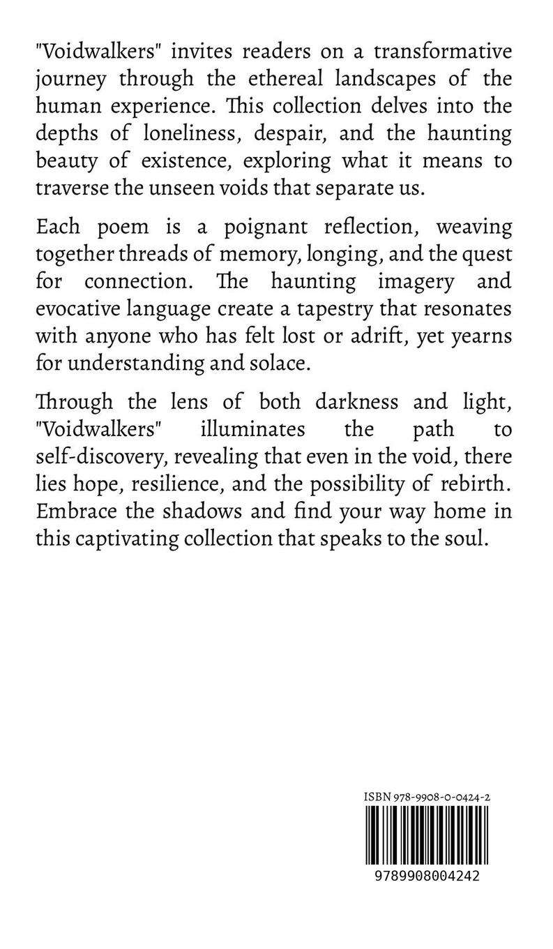 Rückseitencover Voidwalkers