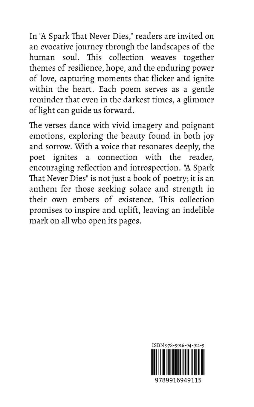 Rückseitencover A Spark That Never Dies