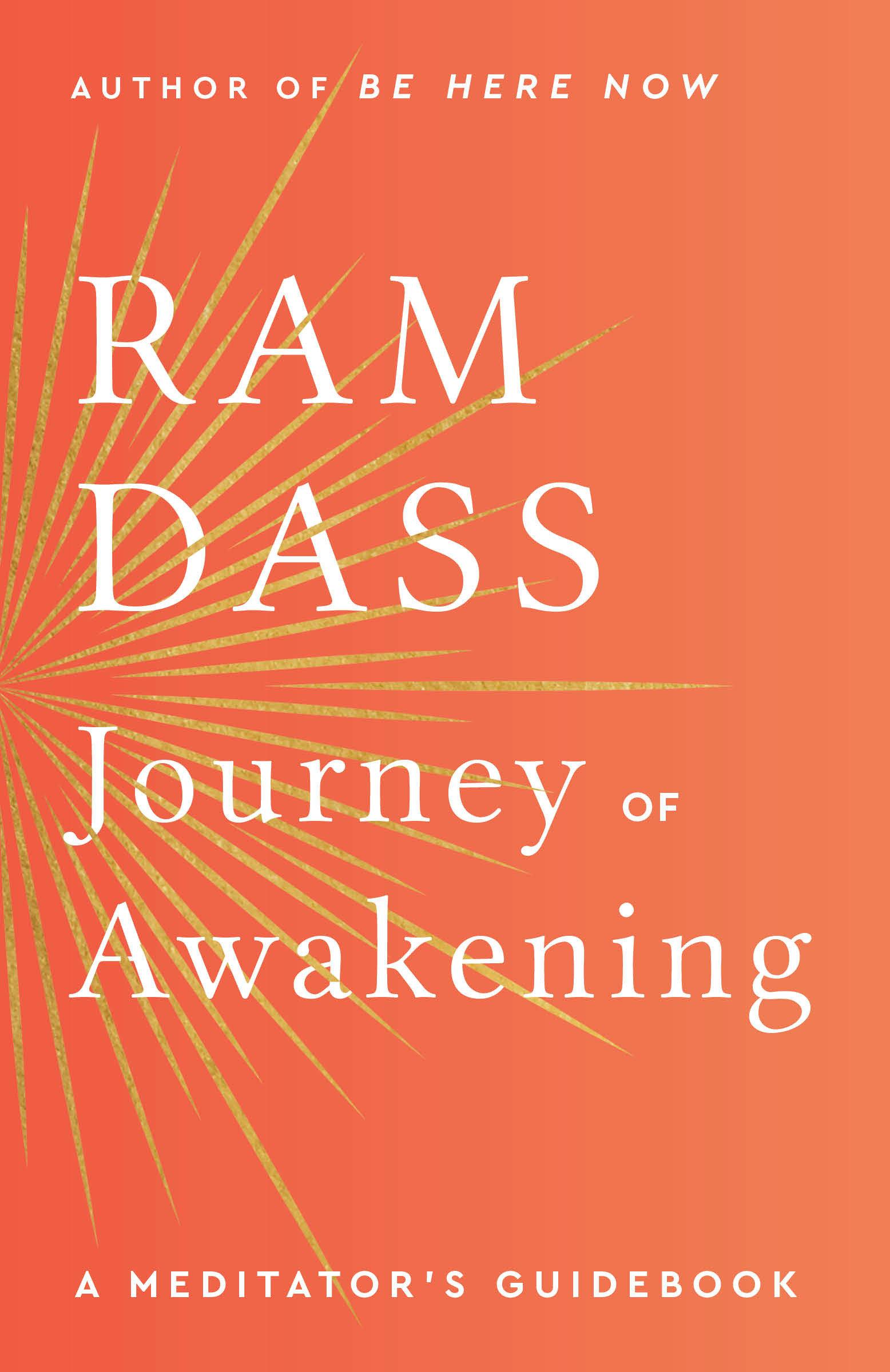 Vorderes Coverbild Journey of Awakening