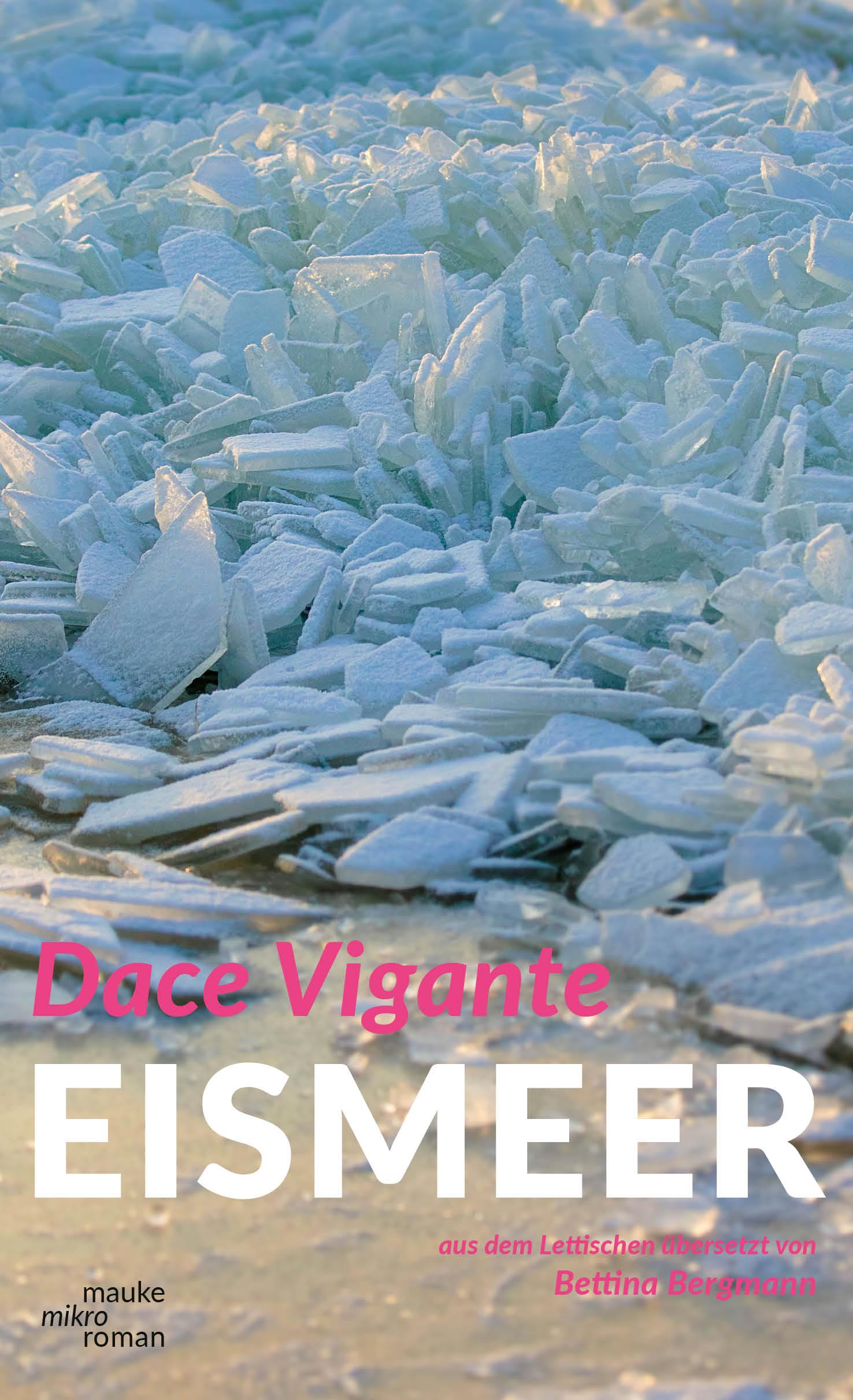 Vorderes Coverbild Eismeer