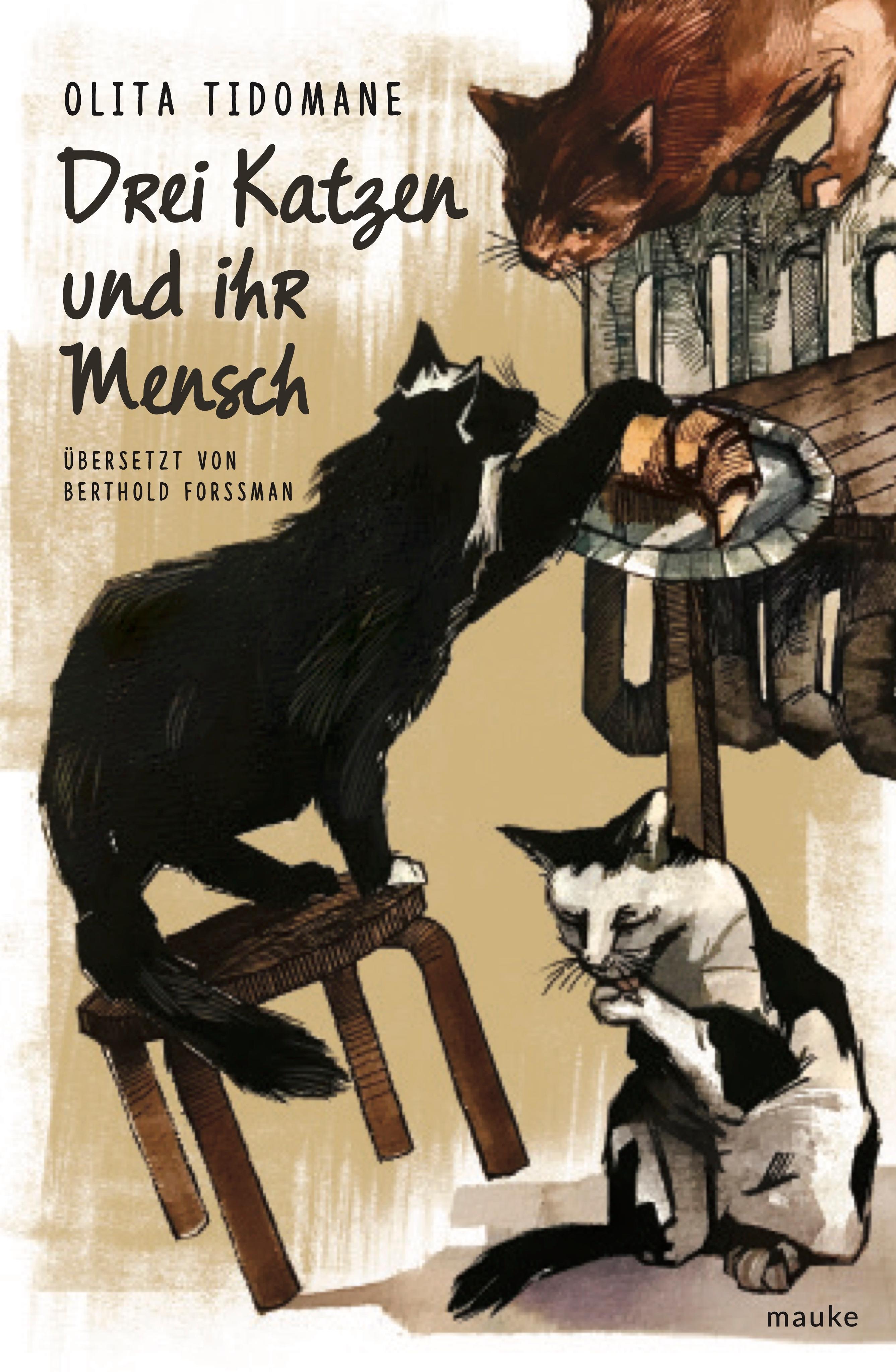 Vorderes Coverbild Drei Katzen und ihr Mensch