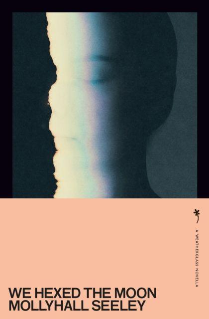 Vorderes Coverbild We Hexed the Moon