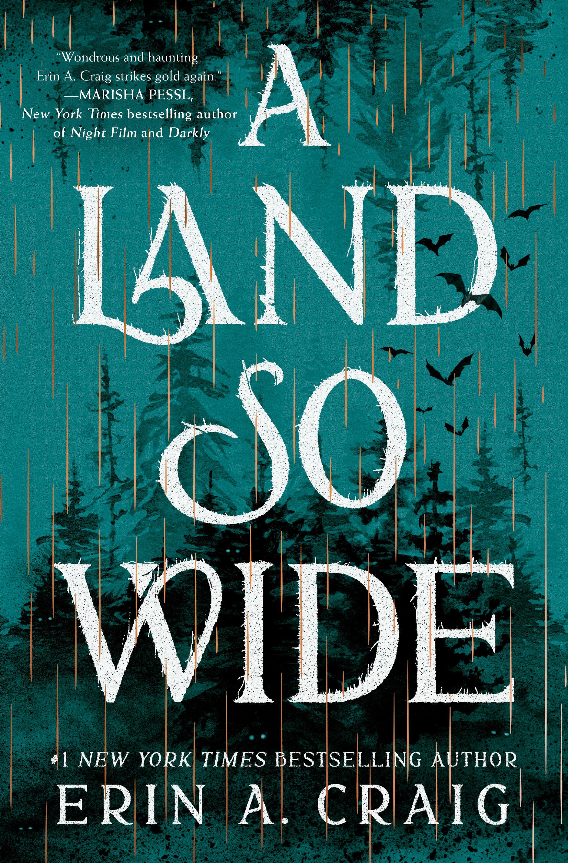 Vorderes Coverbild A Land So Wide