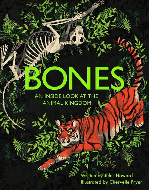 Vorderes Coverbild Bones