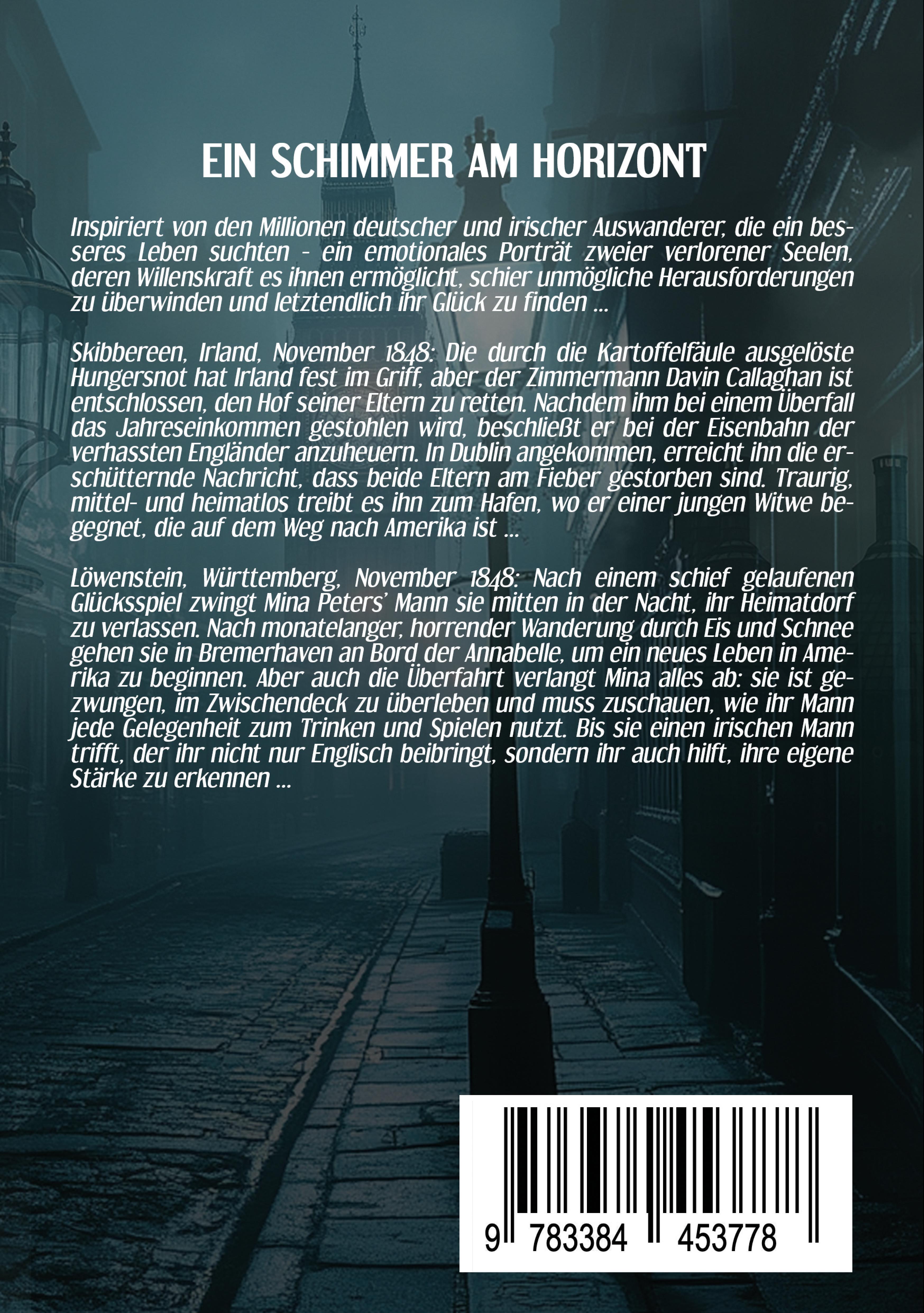 Rückseitencover Ein Schimmer am Horizont