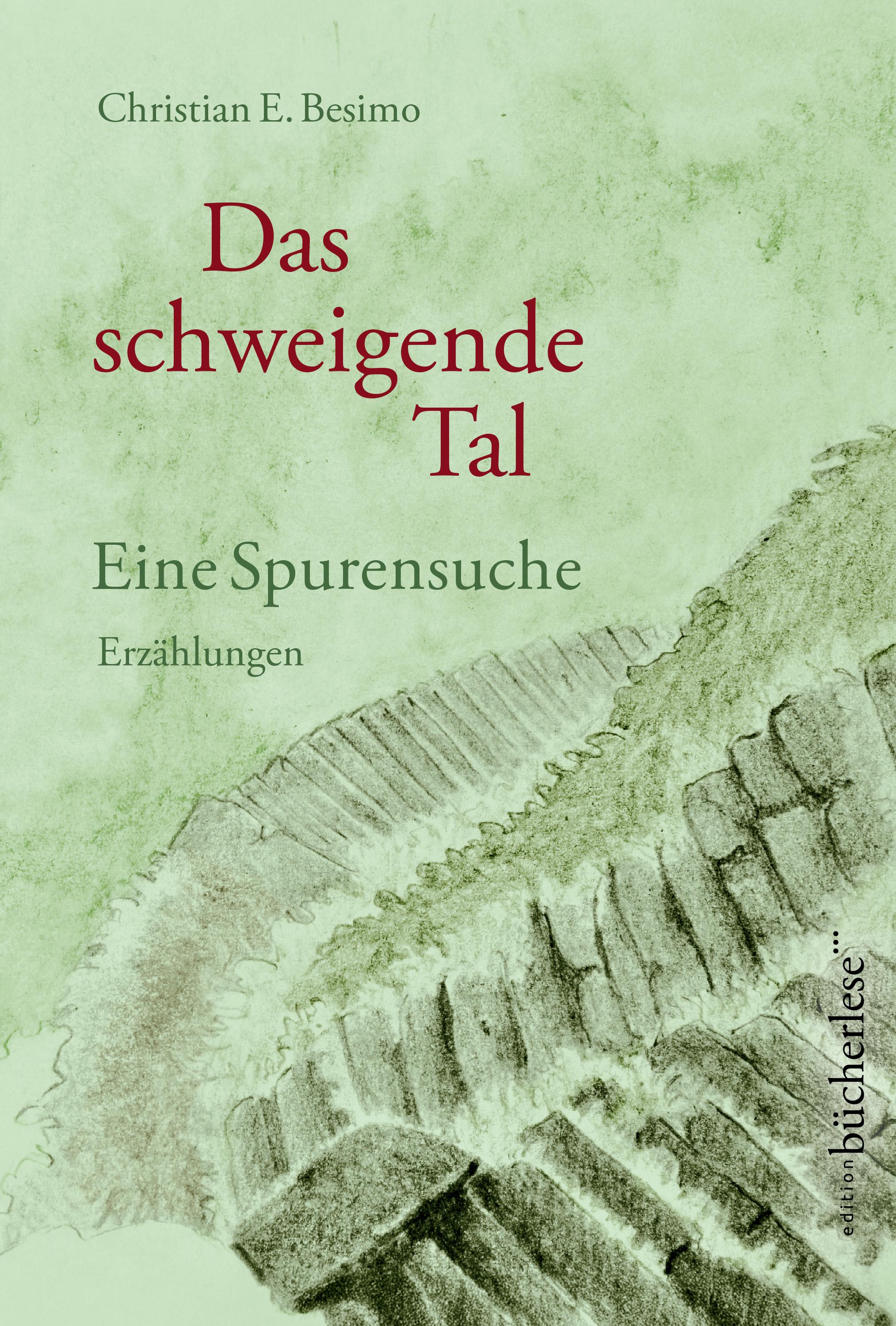 Vorderes Coverbild Das schweigende Tal